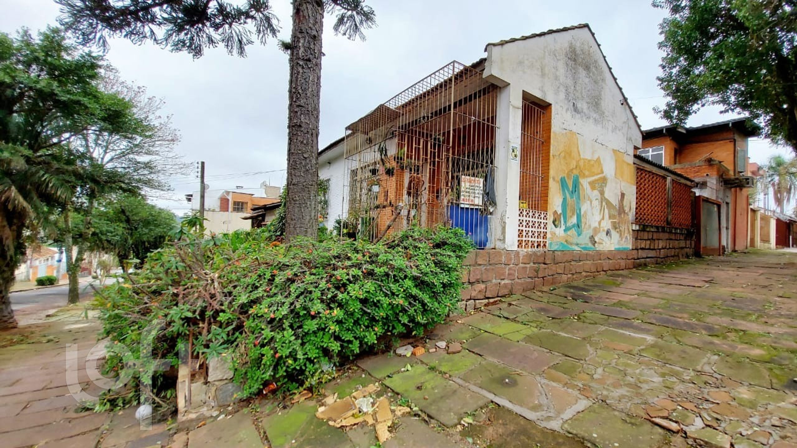 Imagem da propriedade 16