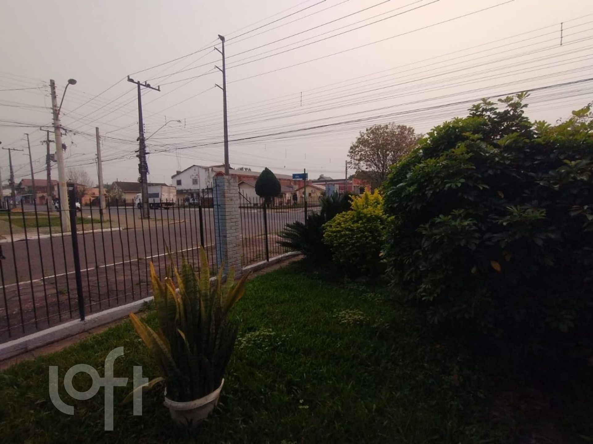 Imagem da propriedade 19