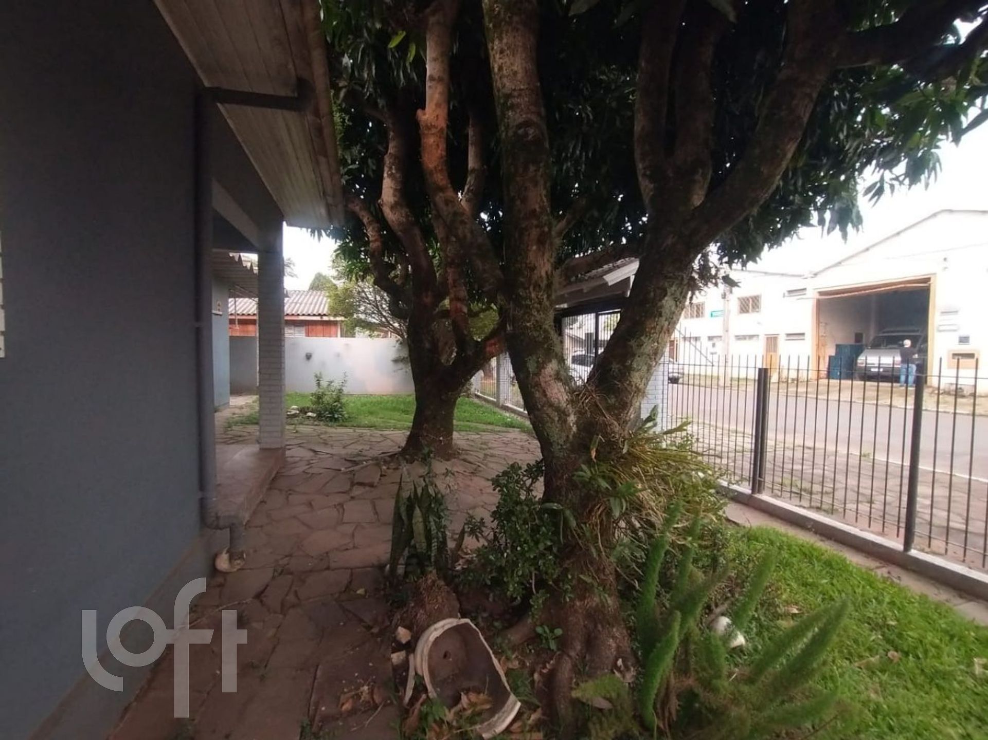 Imagem da propriedade 18