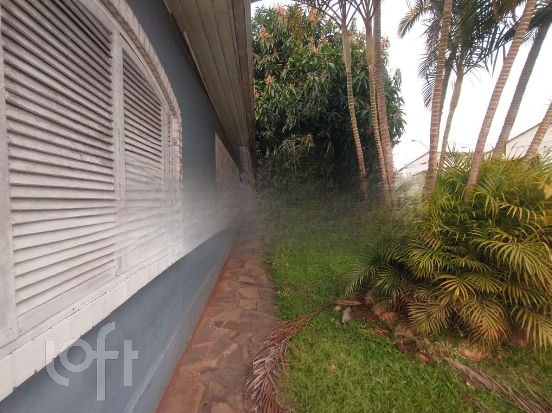 Imagem da propriedade 22