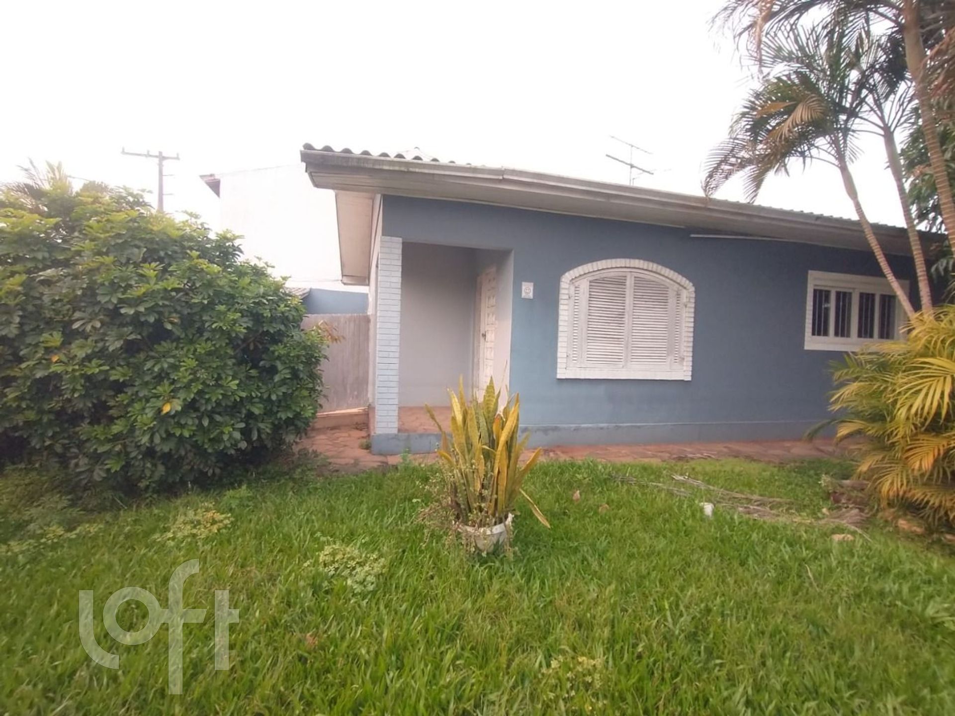 Imagem da propriedade 4