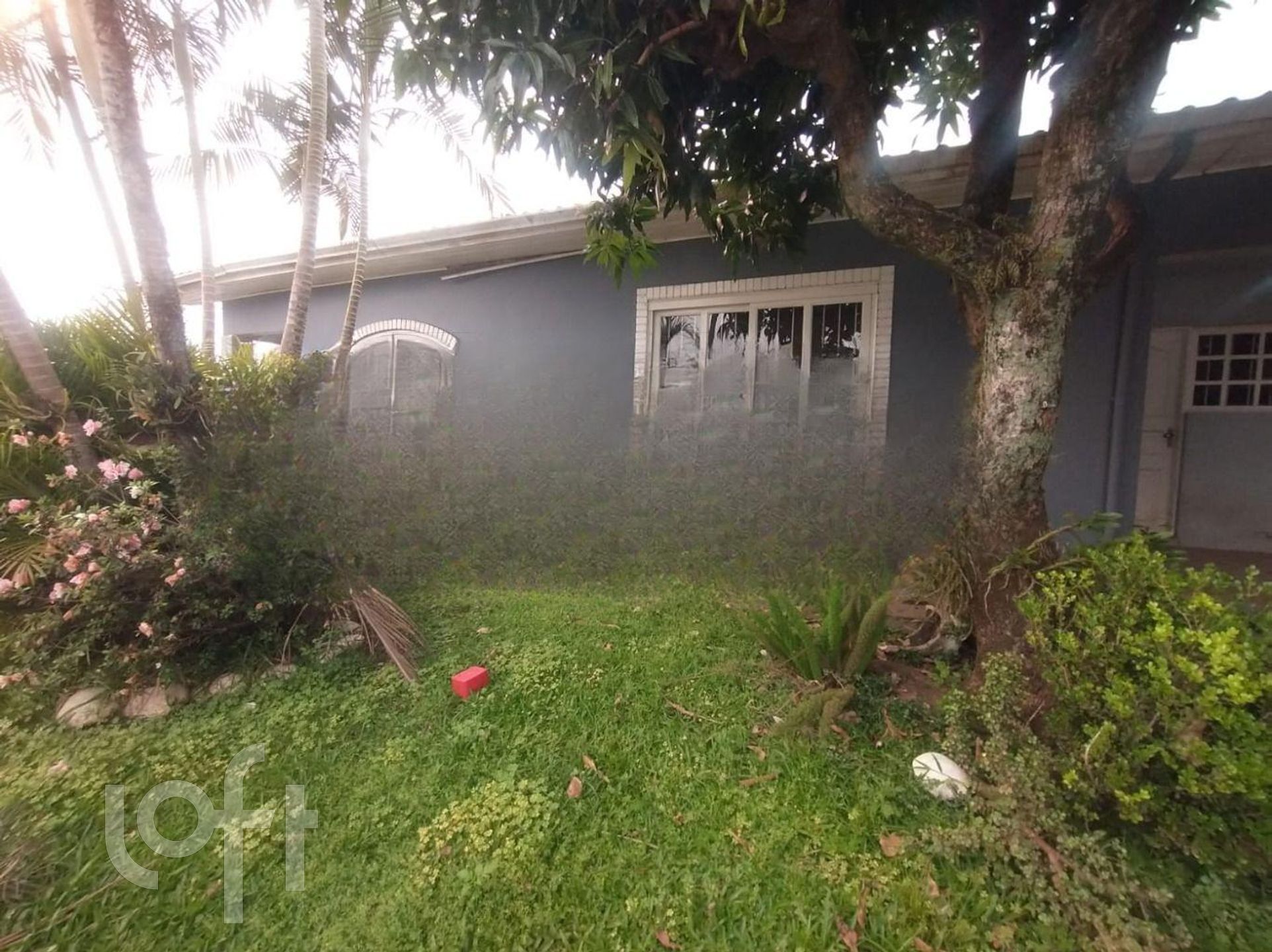 Imagem da propriedade 21