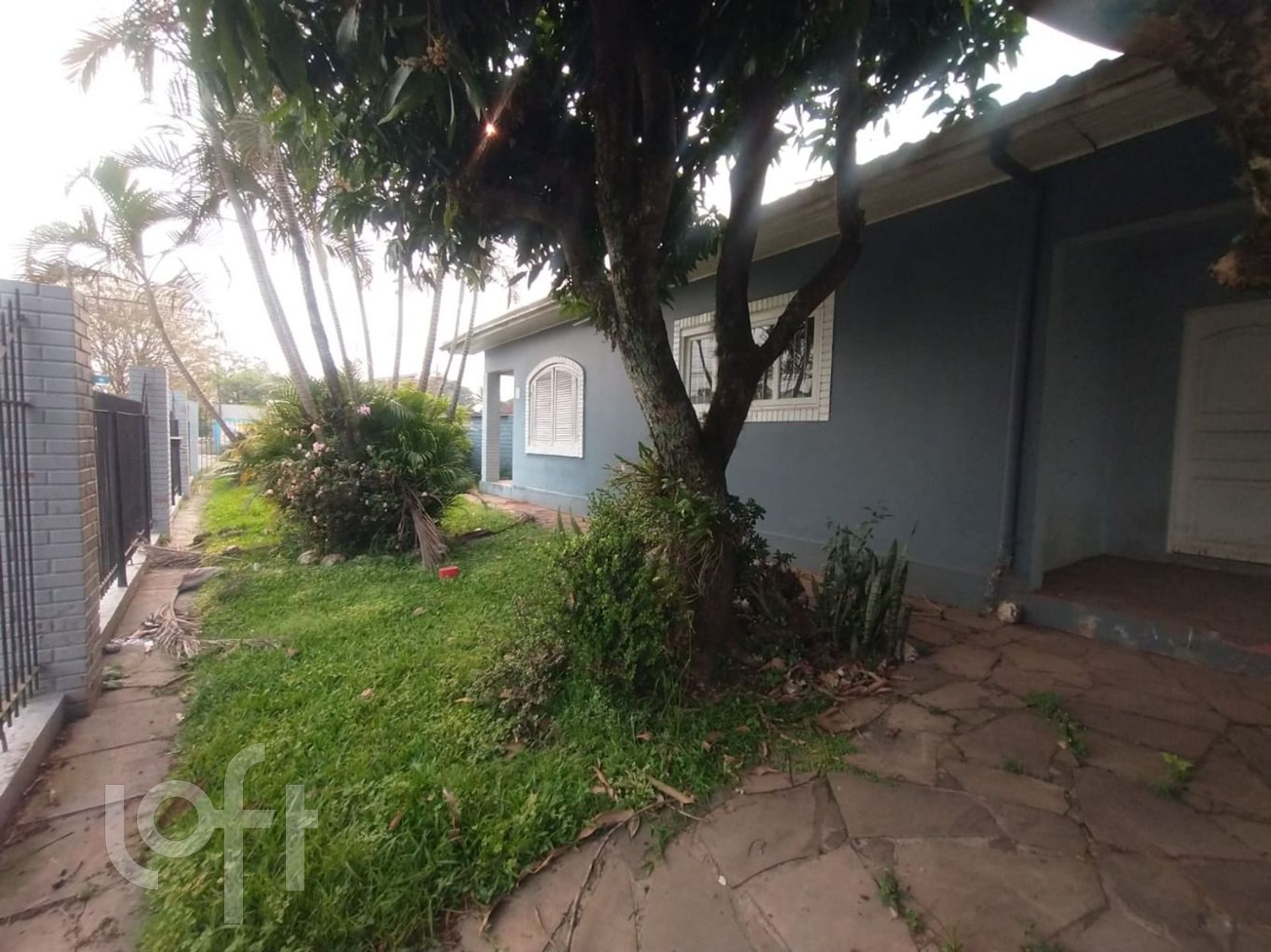 Imagem da propriedade 3