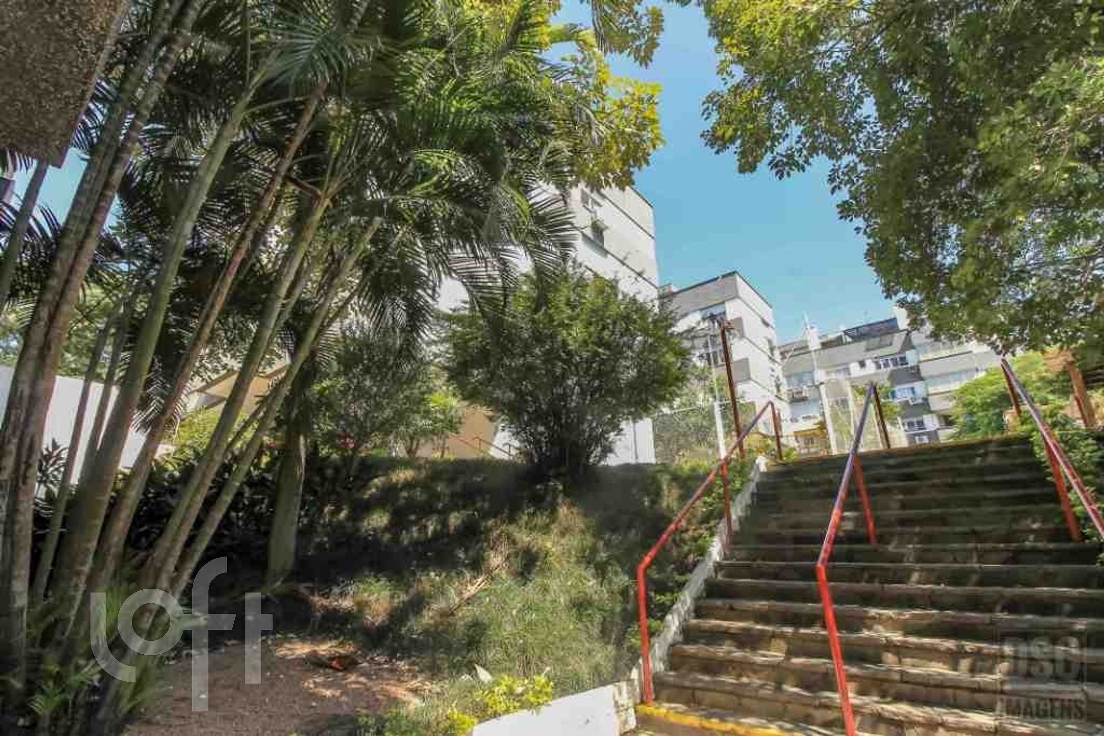 Imagem da propriedade 12