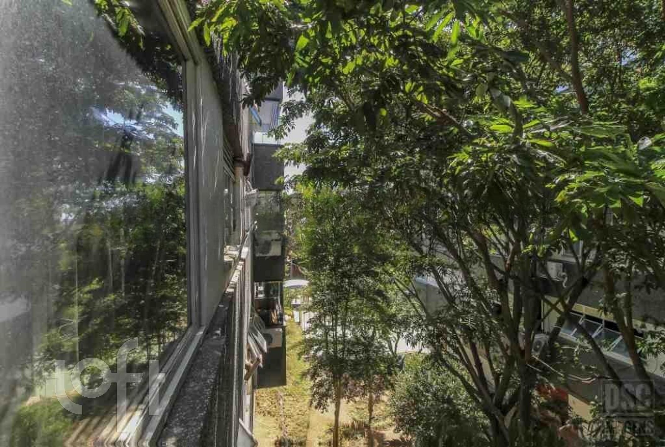 Imagem da propriedade 36