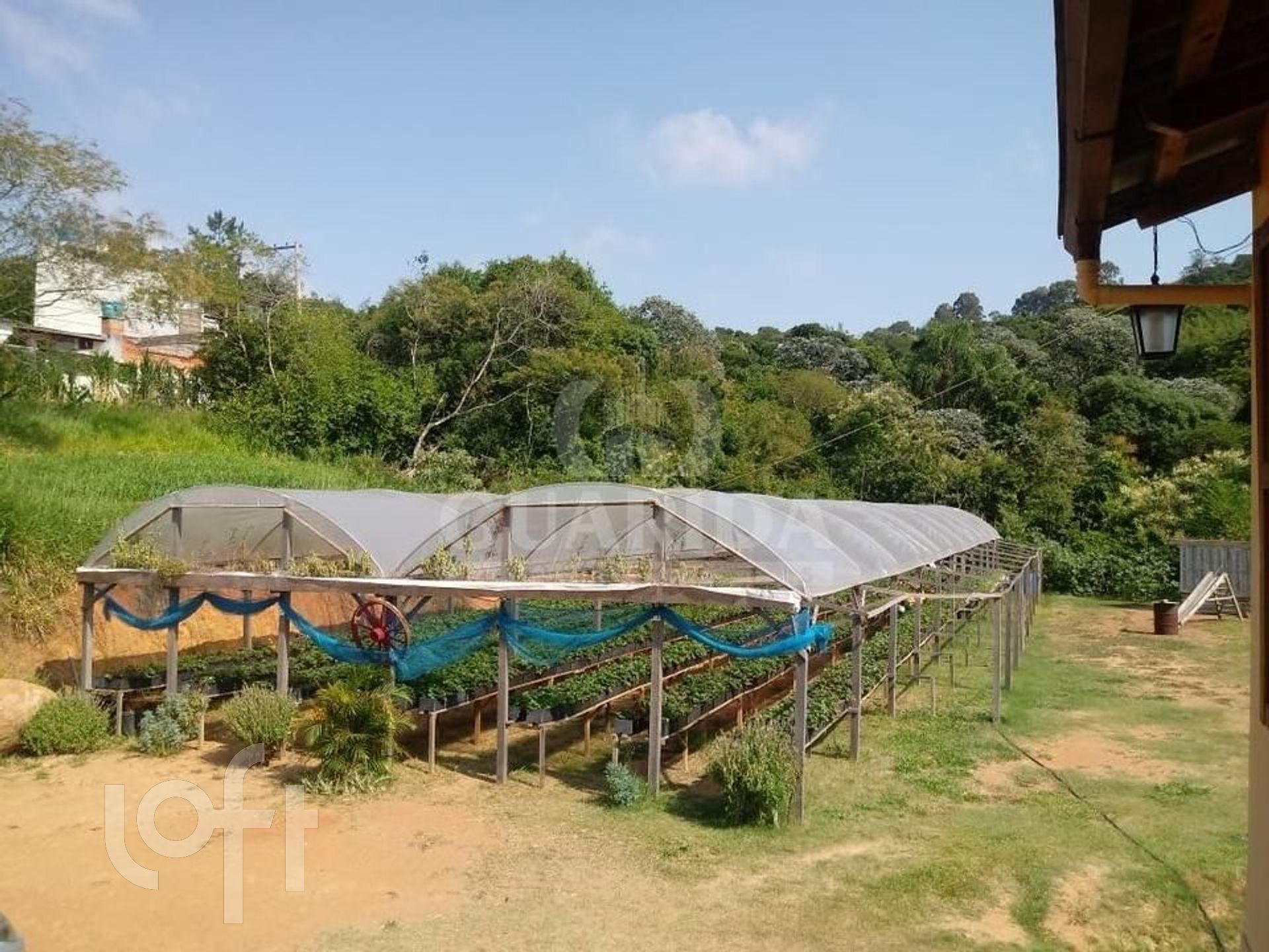 Imagem da propriedade 22