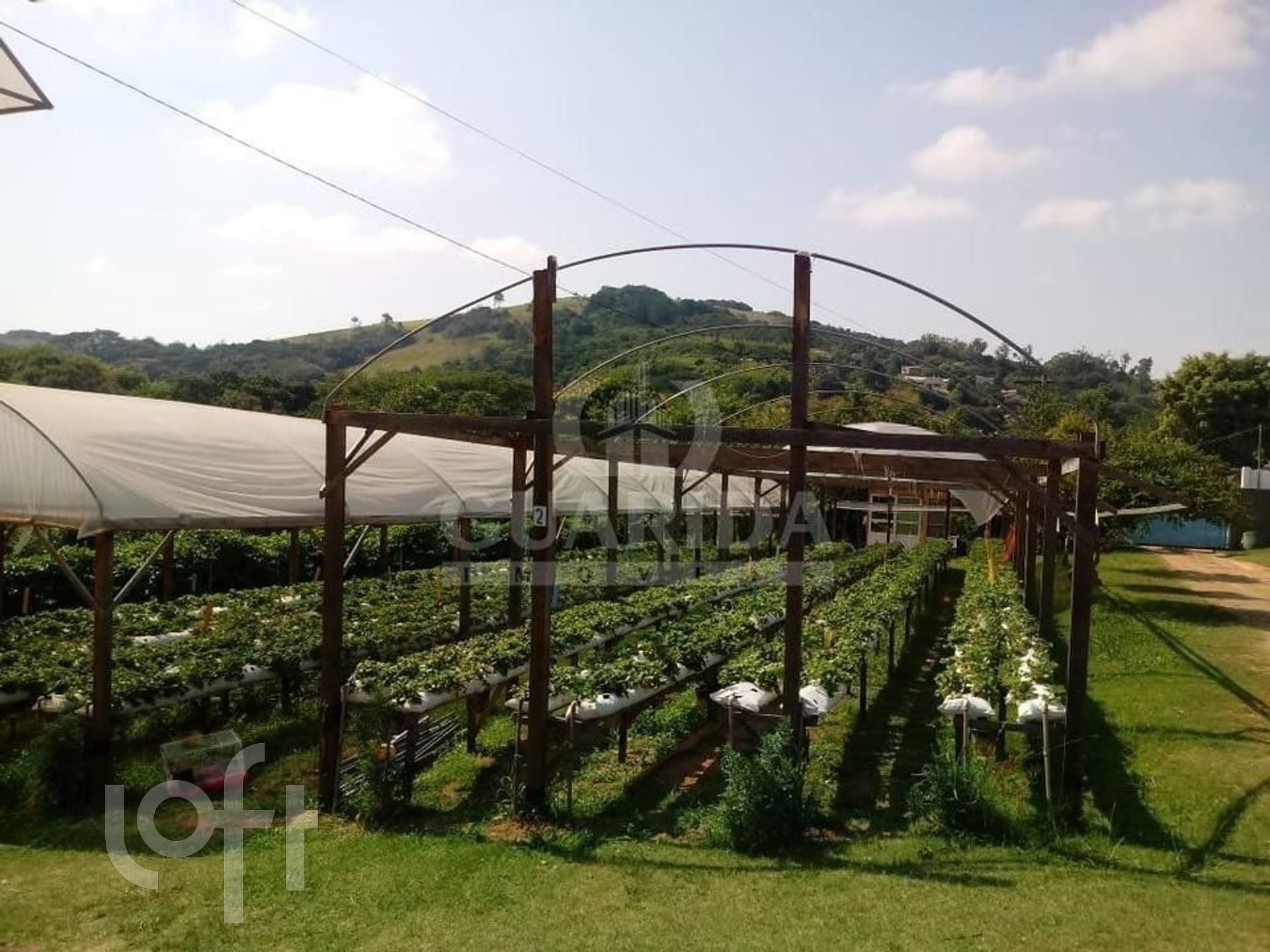 Imagem da propriedade 20