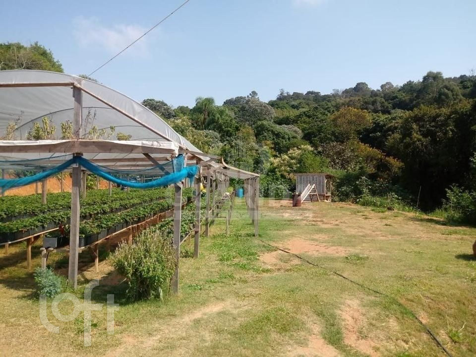 Imagem da propriedade 23