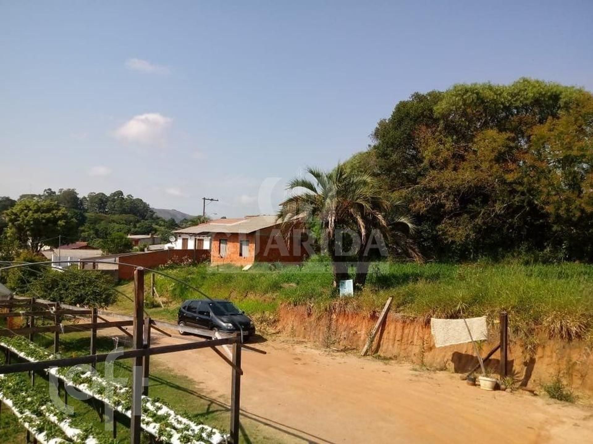 Imagem da propriedade 21