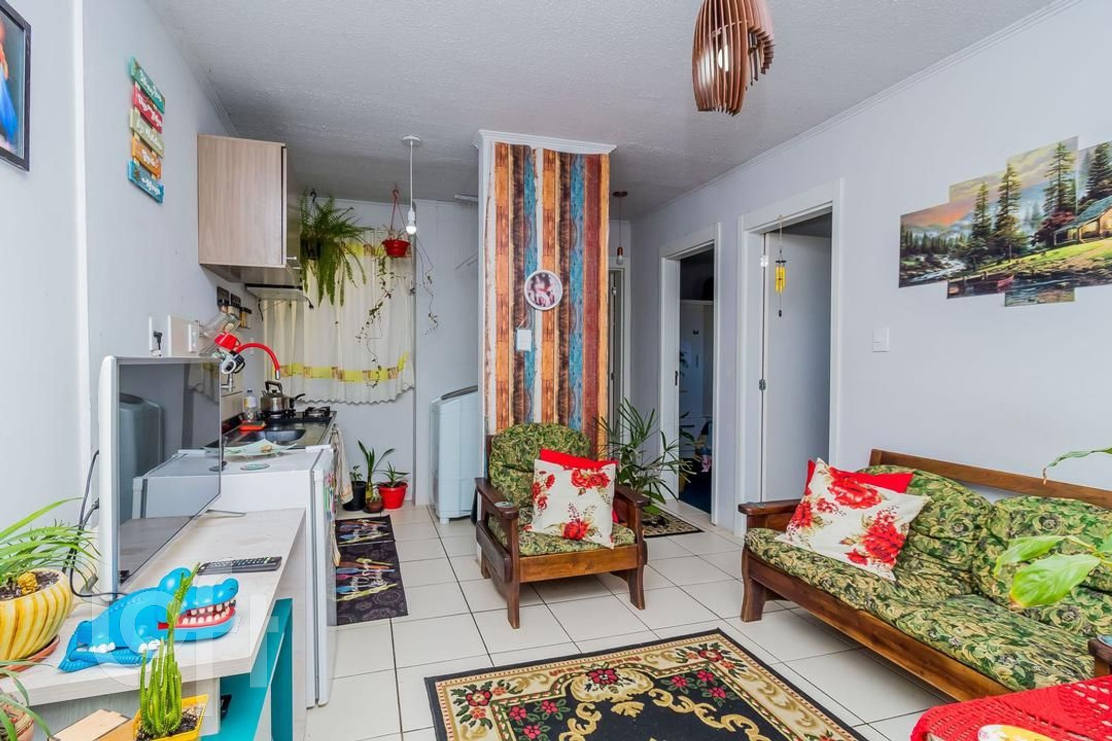 Imagem da propriedade 3