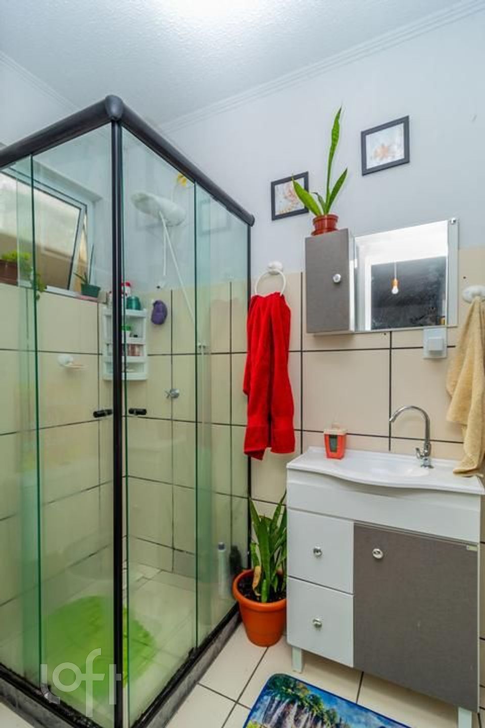 Imagem da propriedade 5