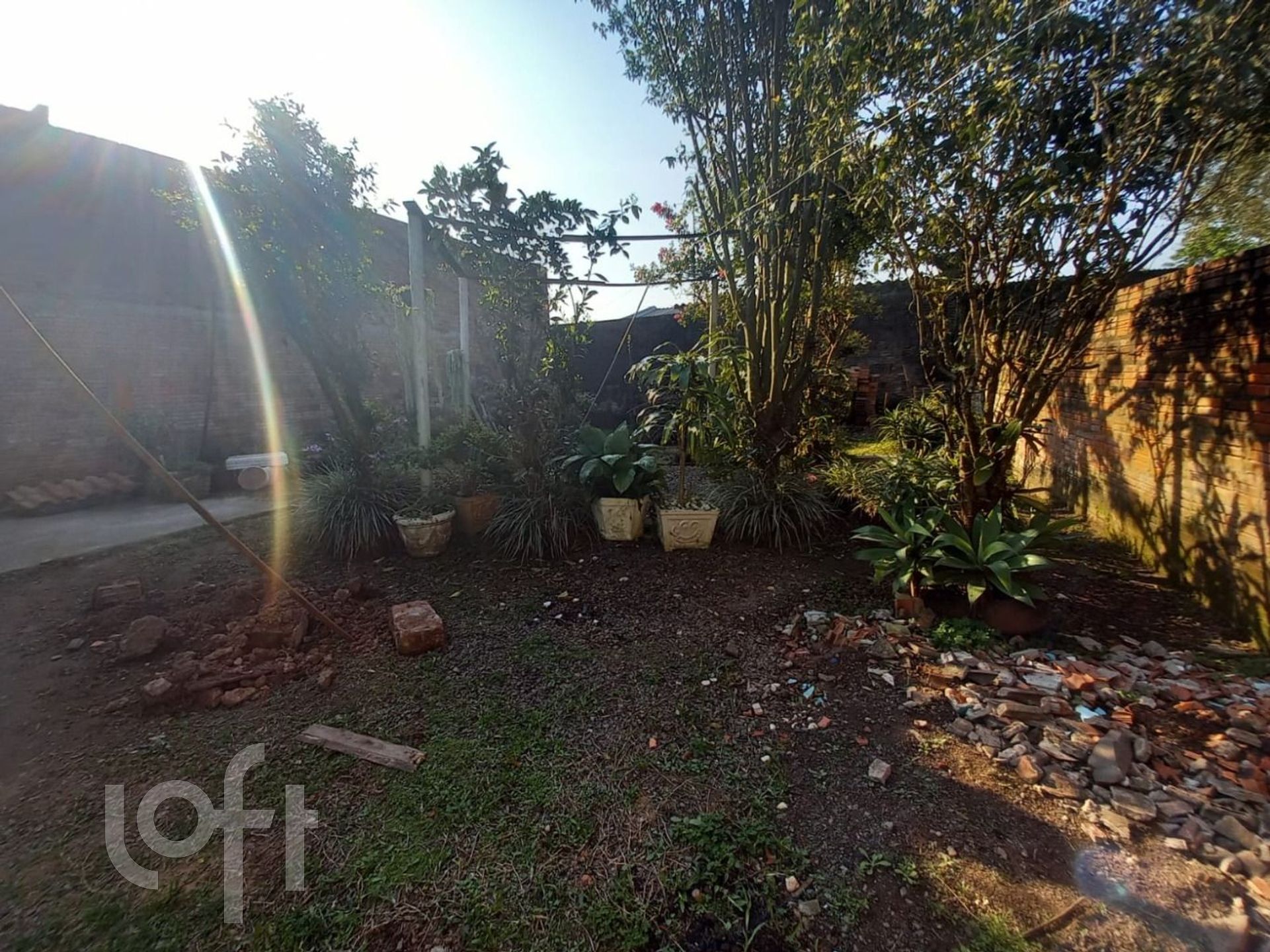 Imagem da propriedade 20