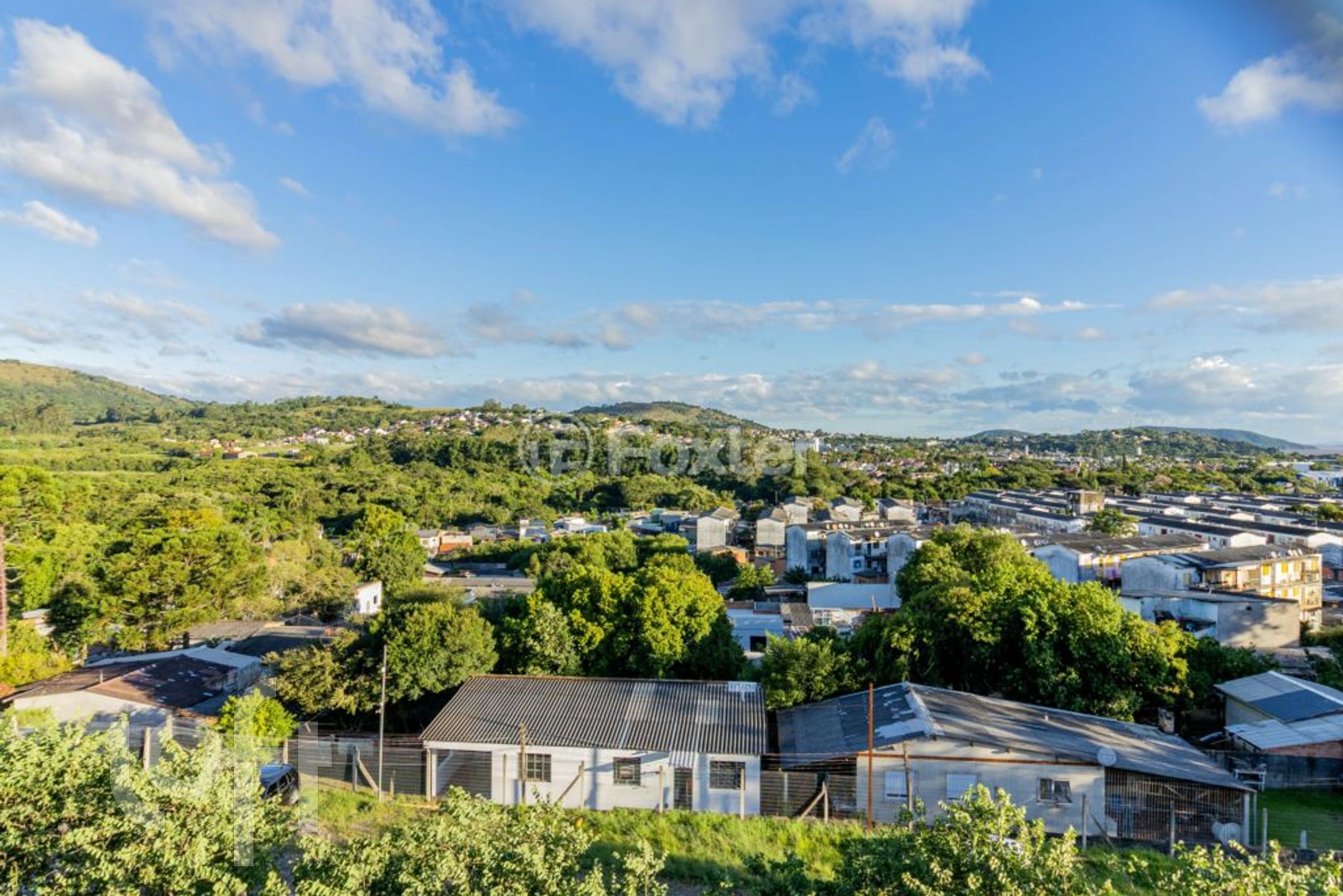 Imagem da propriedade 5