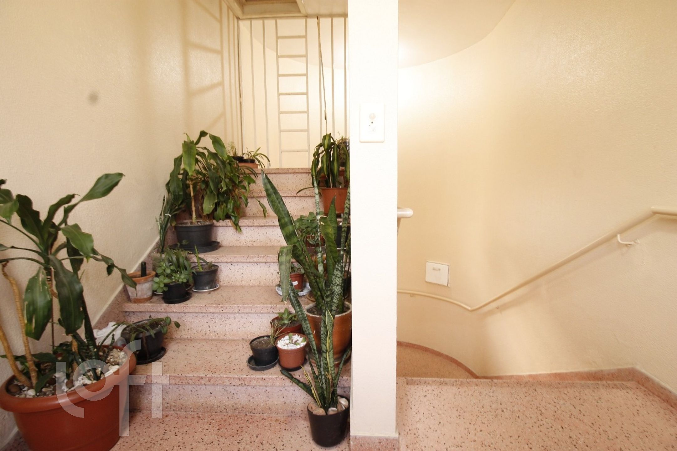 Imagem da propriedade 14