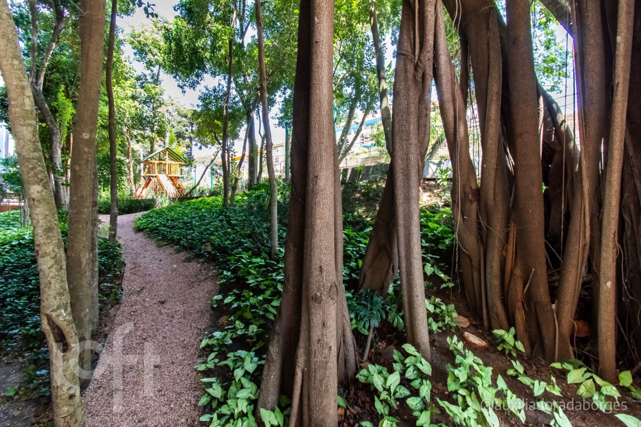 Imagem da propriedade 42