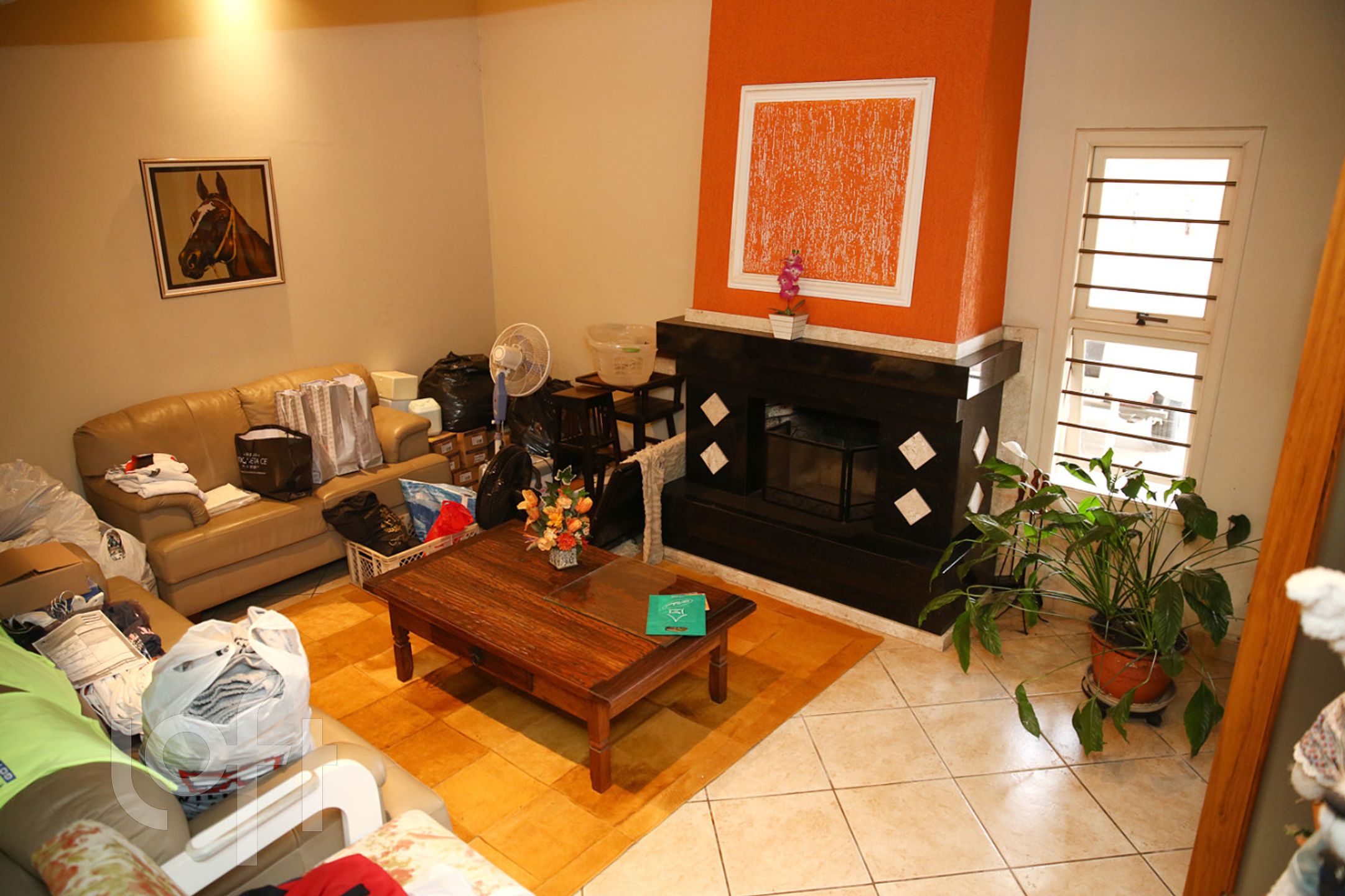 Imagem da propriedade 36