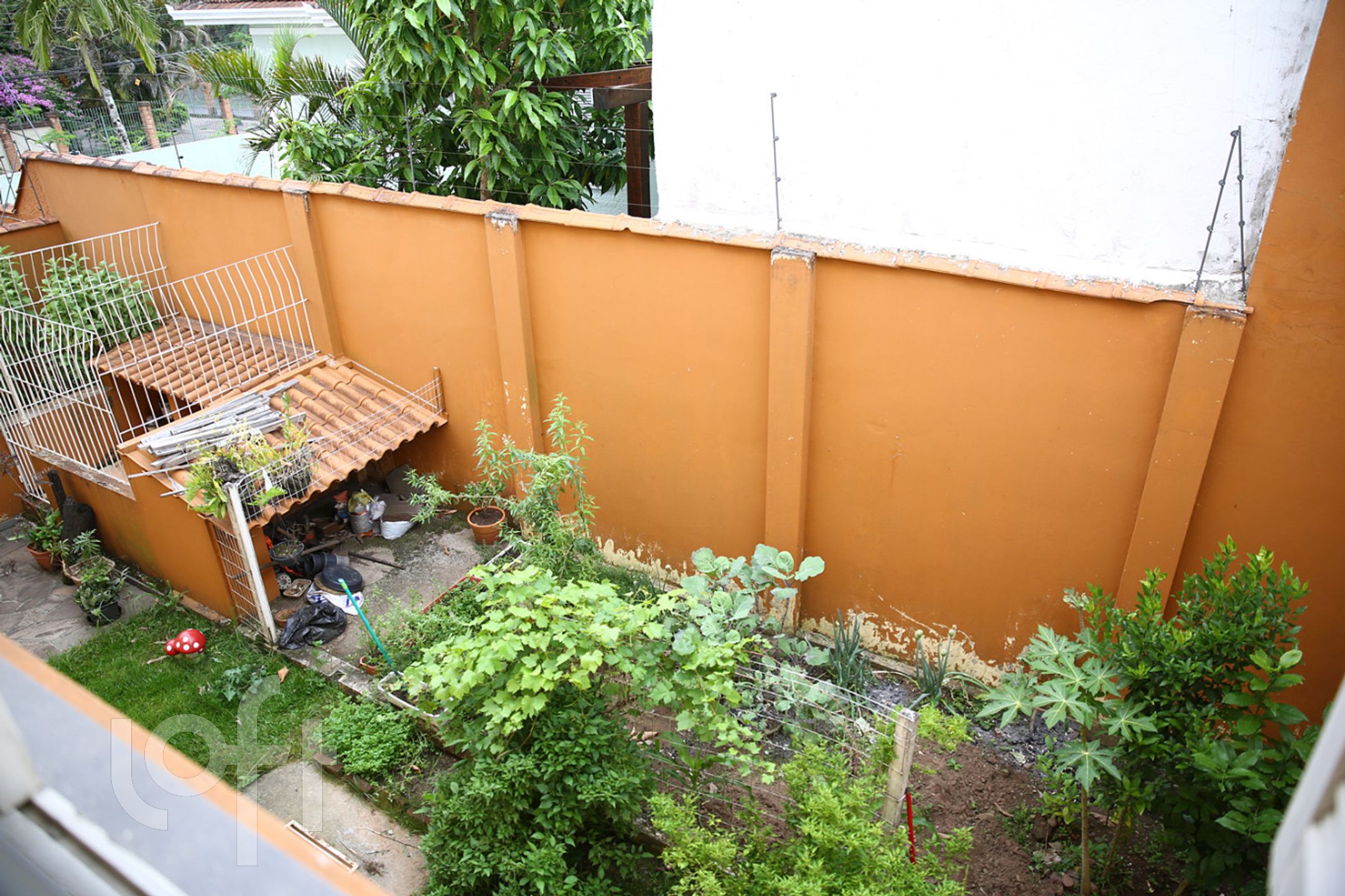 Imagem da propriedade 31