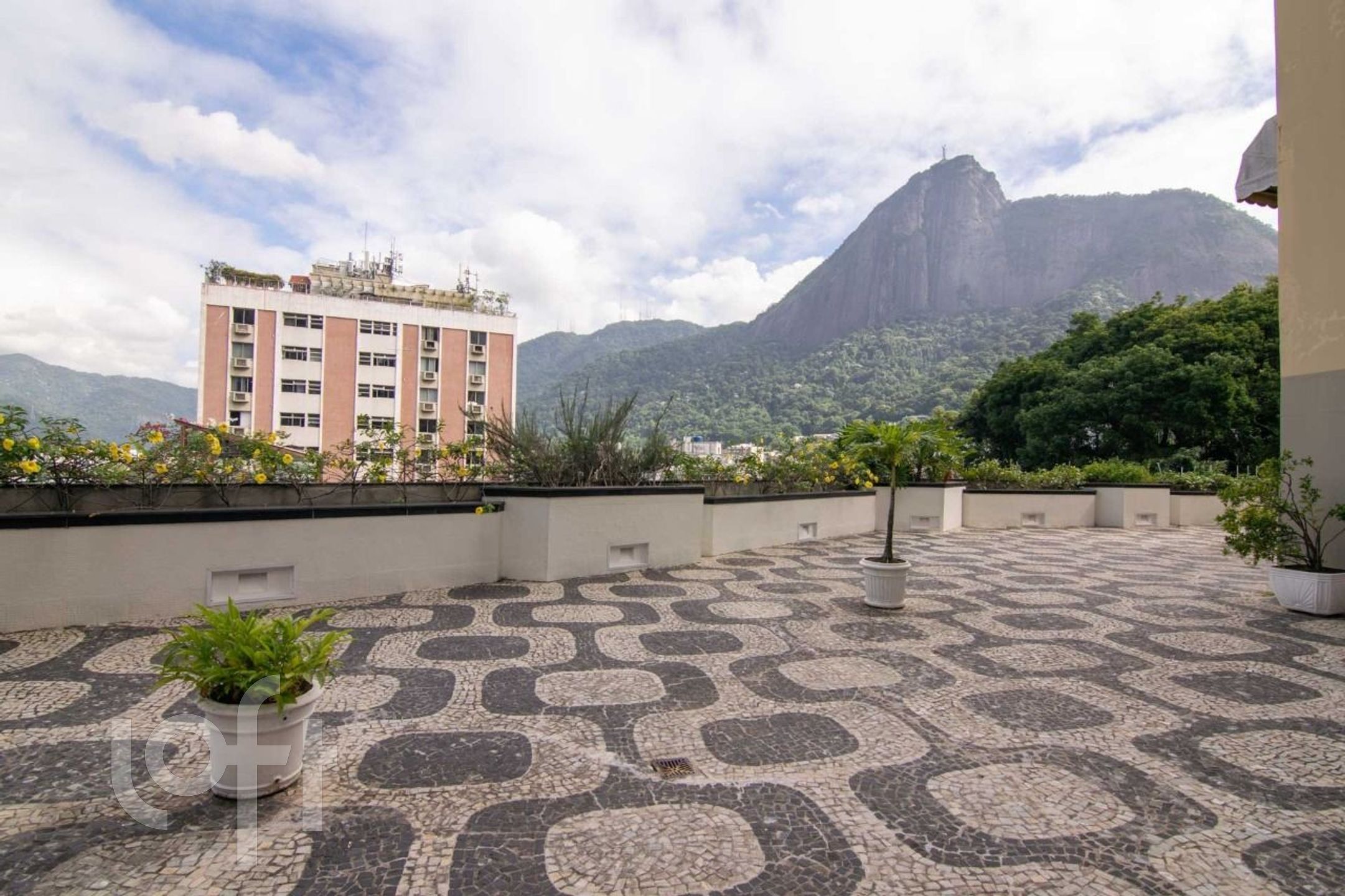 Imagem da propriedade 56