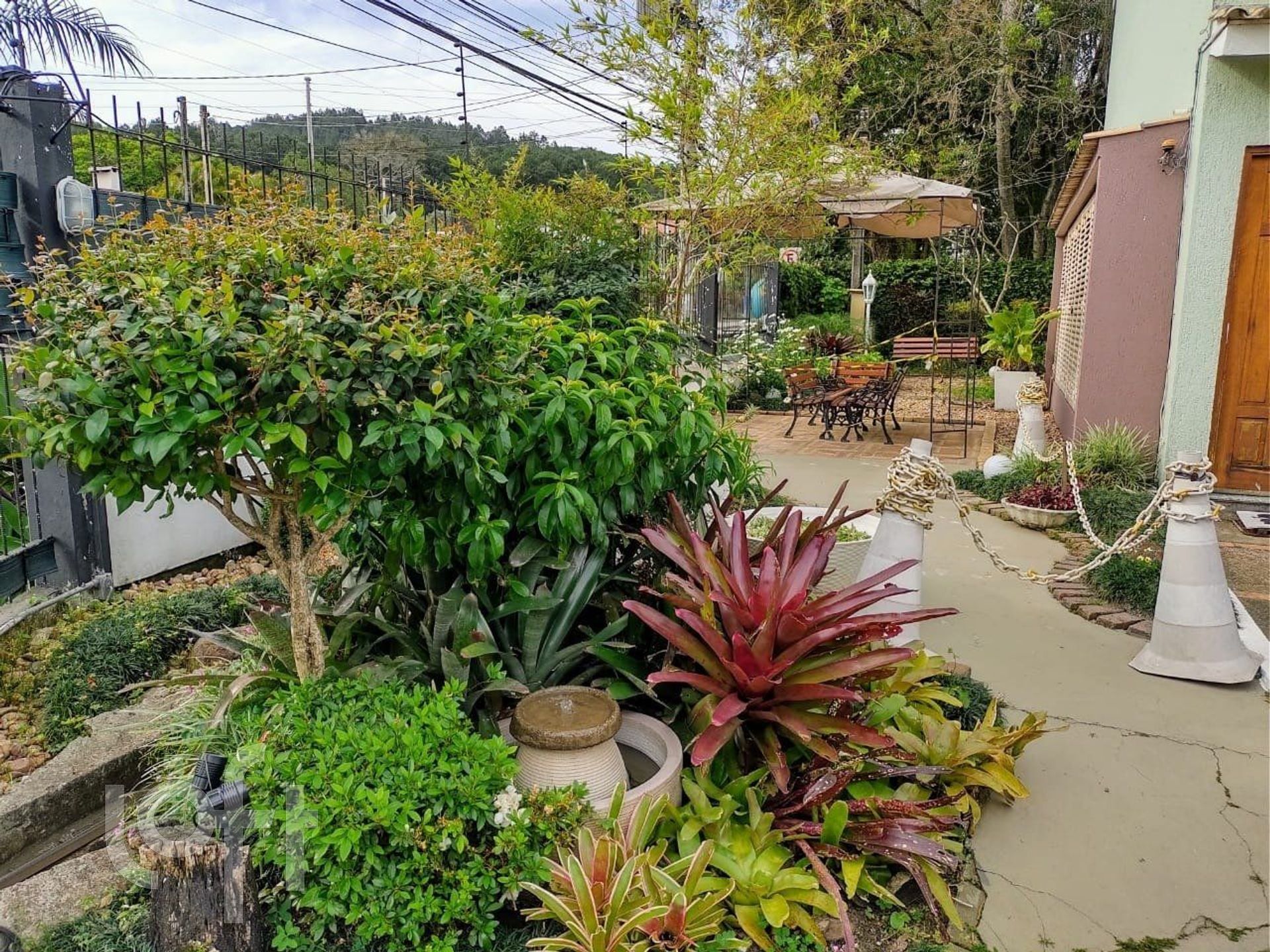 Imagem da propriedade 16