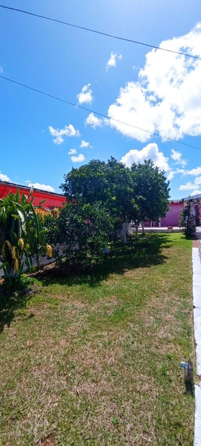 Imagem da propriedade 22