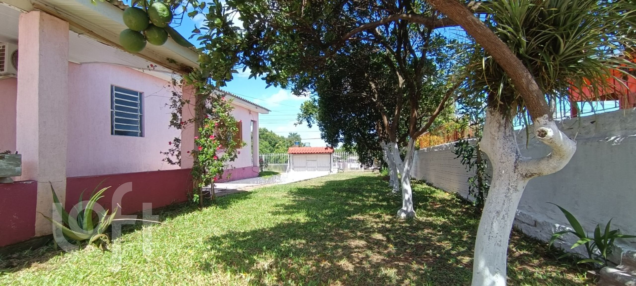 Imagem da propriedade 4