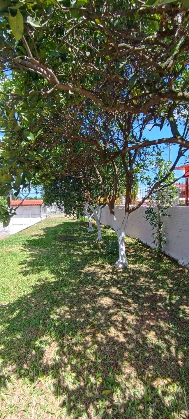 Imagem da propriedade 23