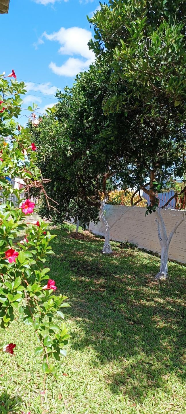 Imagem da propriedade 25