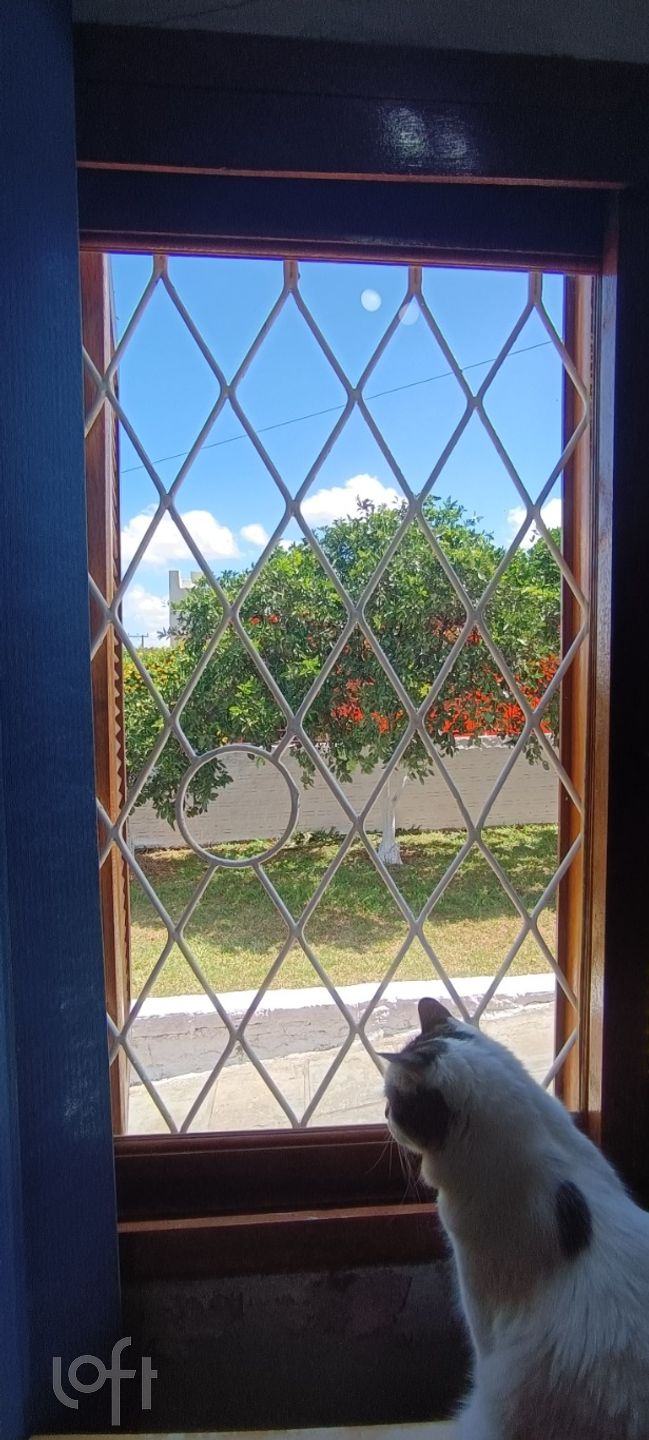 Imagem da propriedade 11