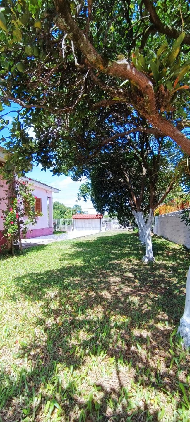 Imagem da propriedade 24