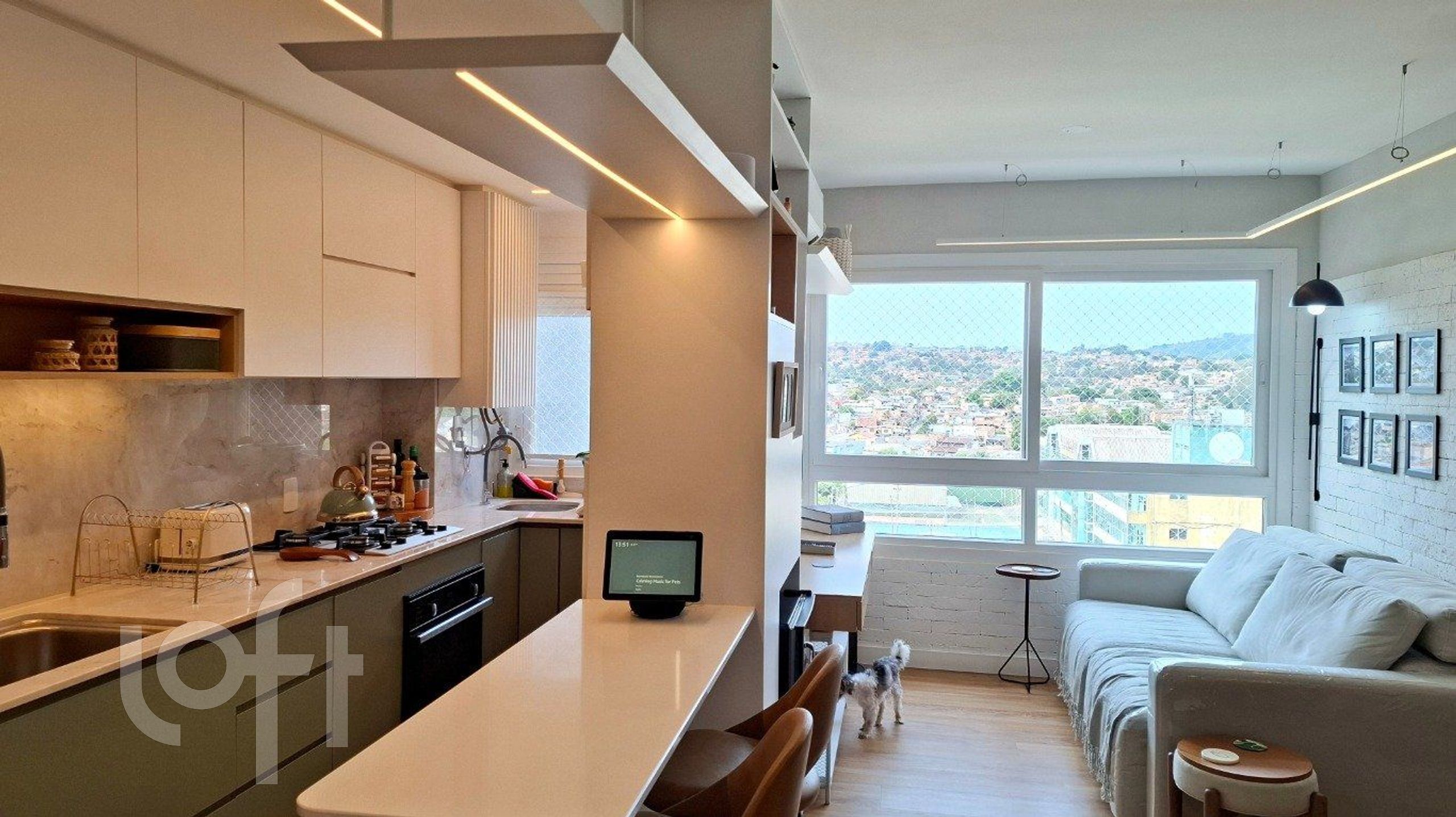 Imagem da propriedade 3