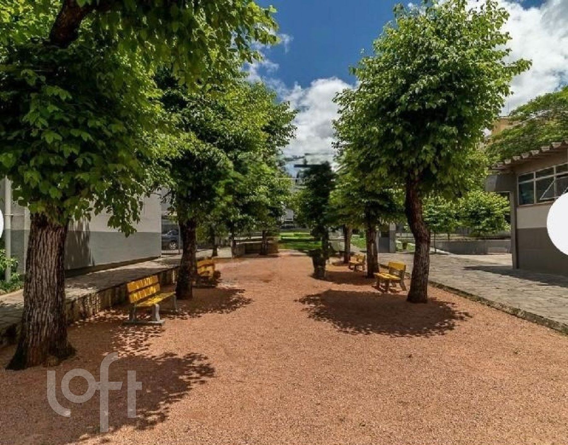 Imagem da propriedade 12