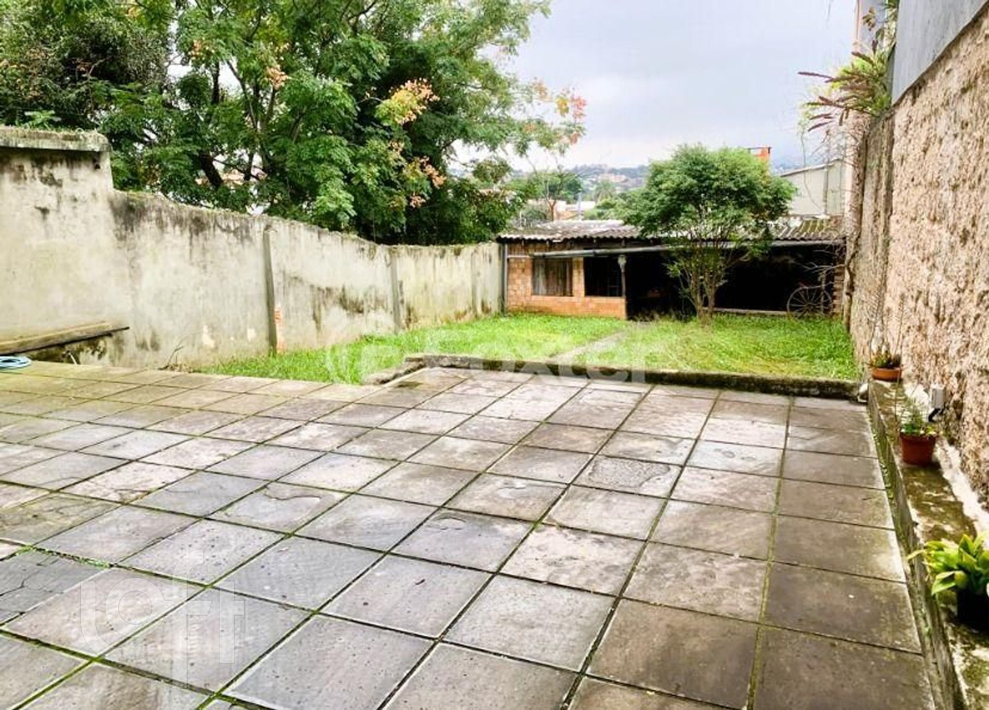 Imagem da propriedade 13