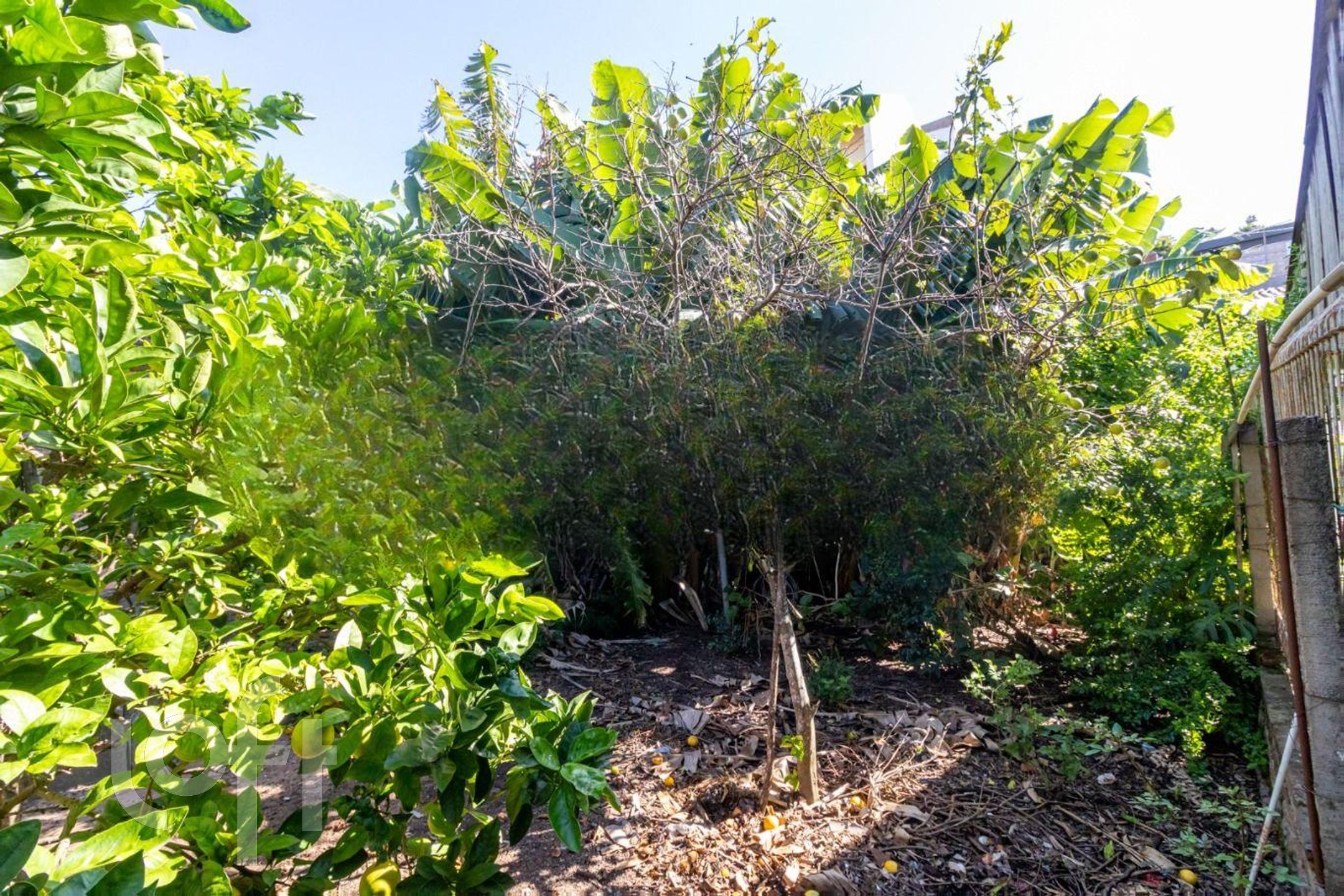 Imagem da propriedade 22