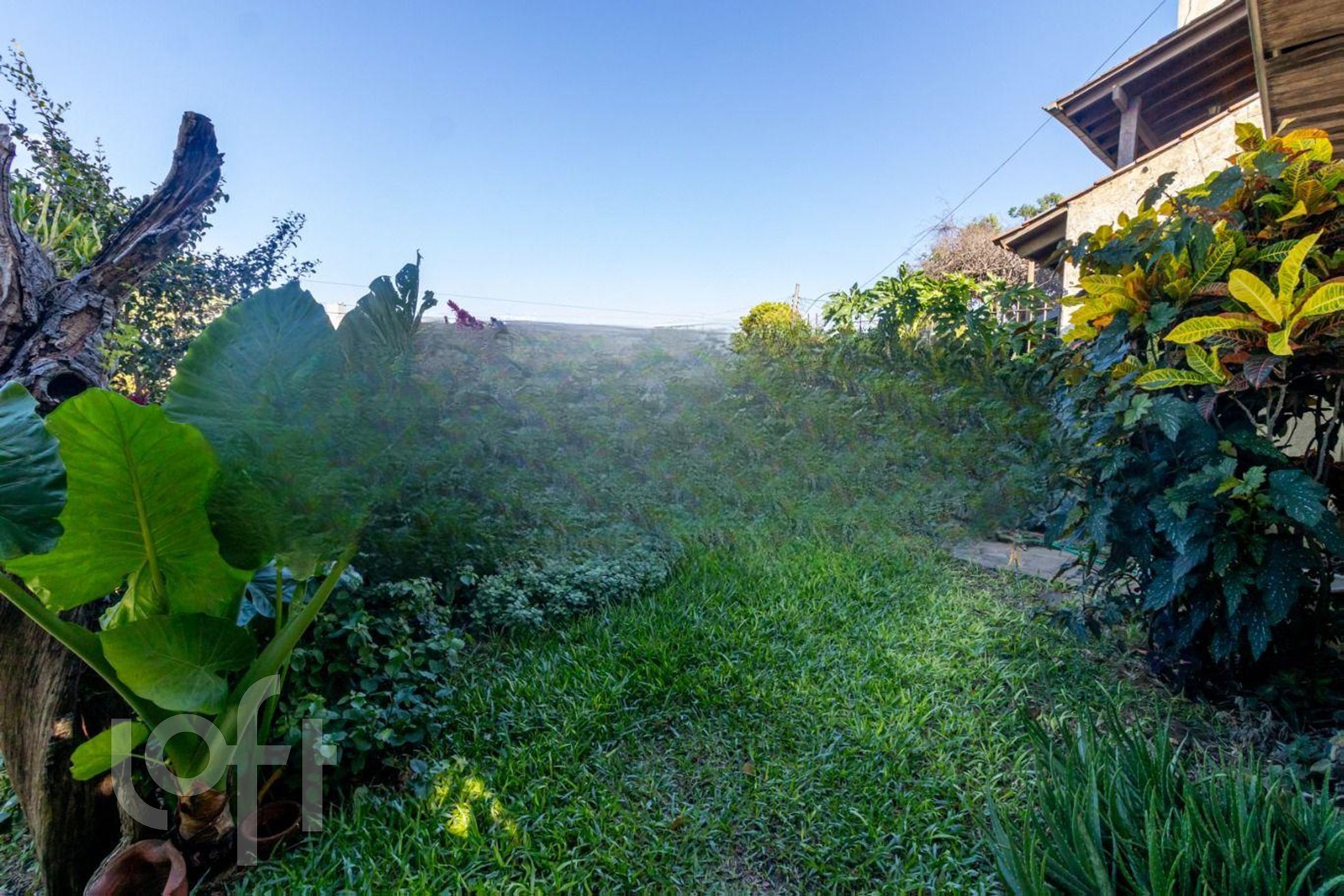 Imagem da propriedade 23