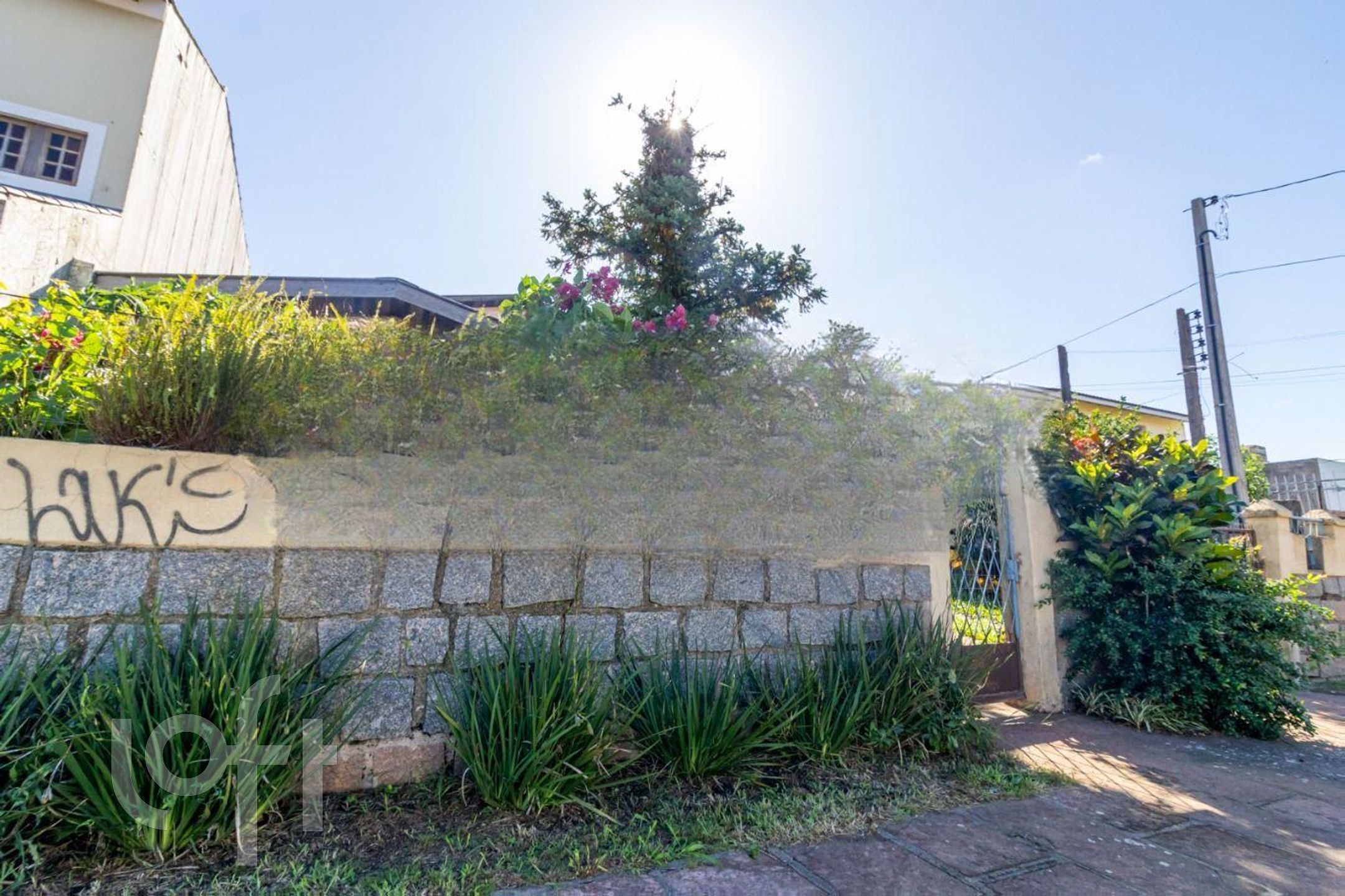 Imagem da propriedade 31