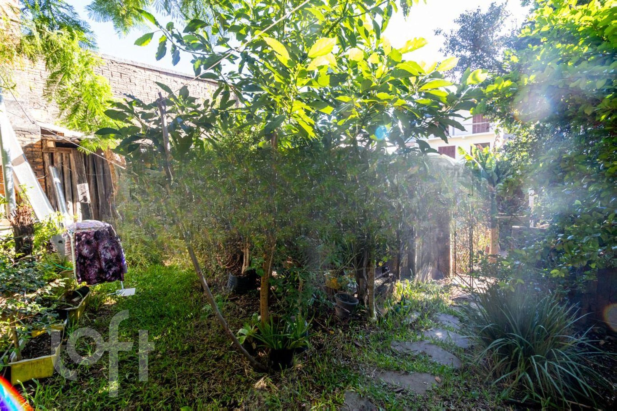 Imagem da propriedade 21