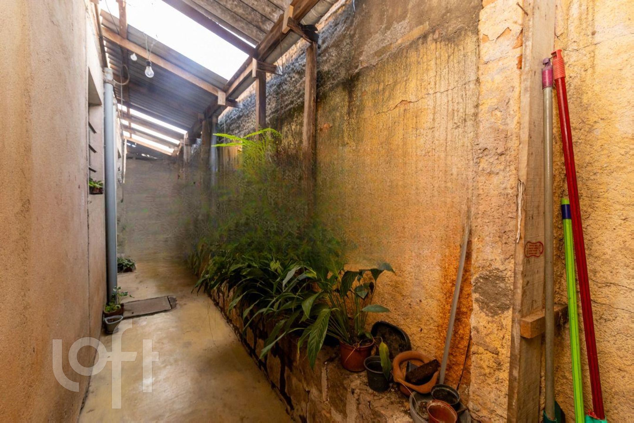 Imagem da propriedade 36