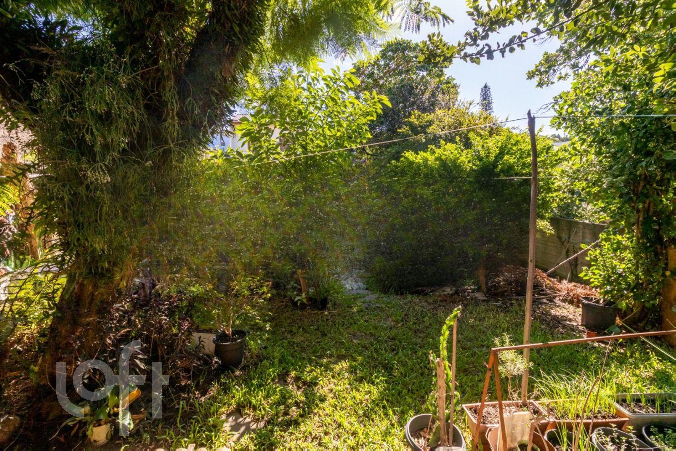 Imagem da propriedade 27