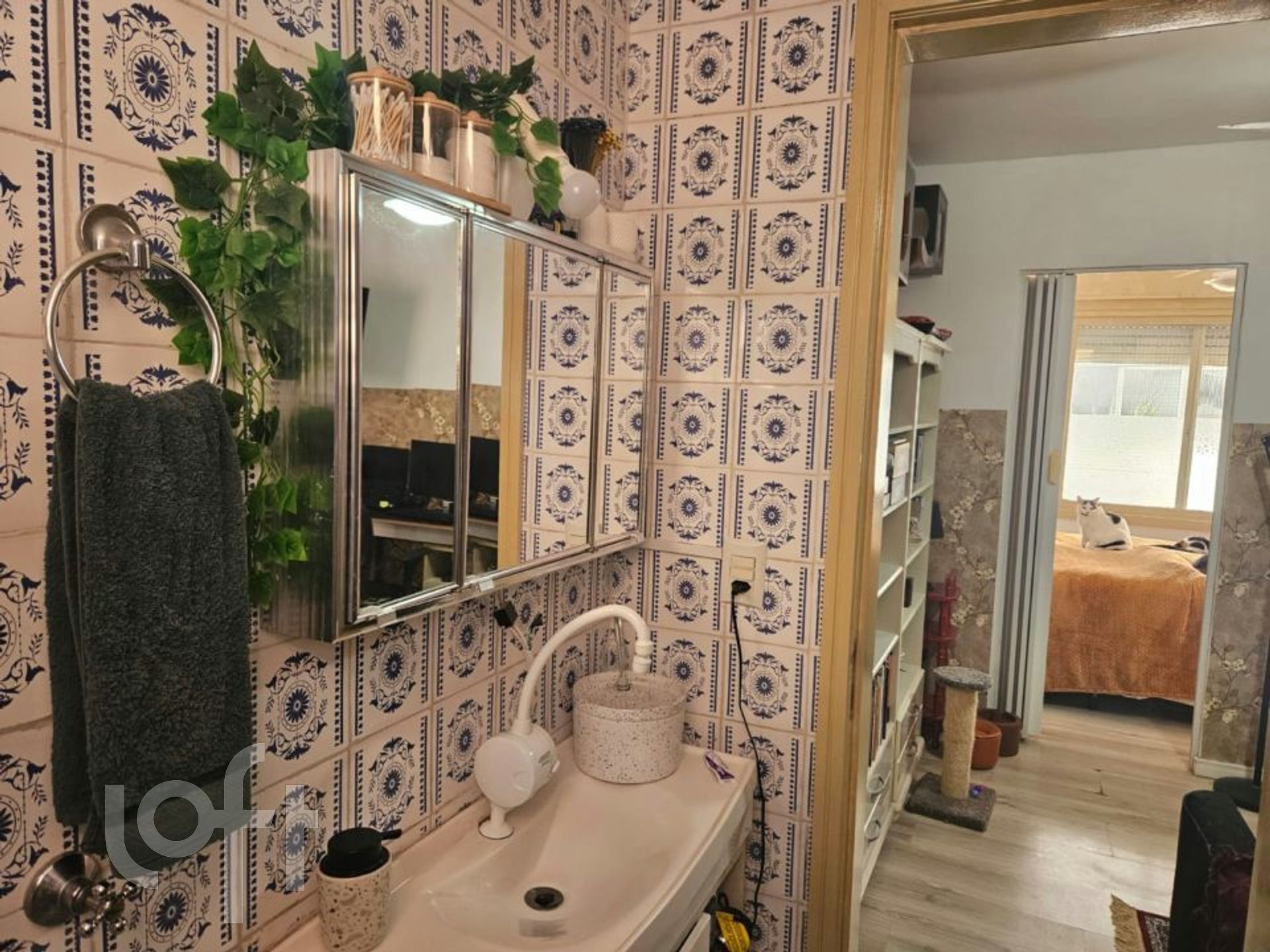 Imagem da propriedade 9