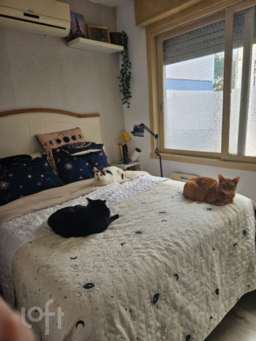 Imagem da propriedade 16