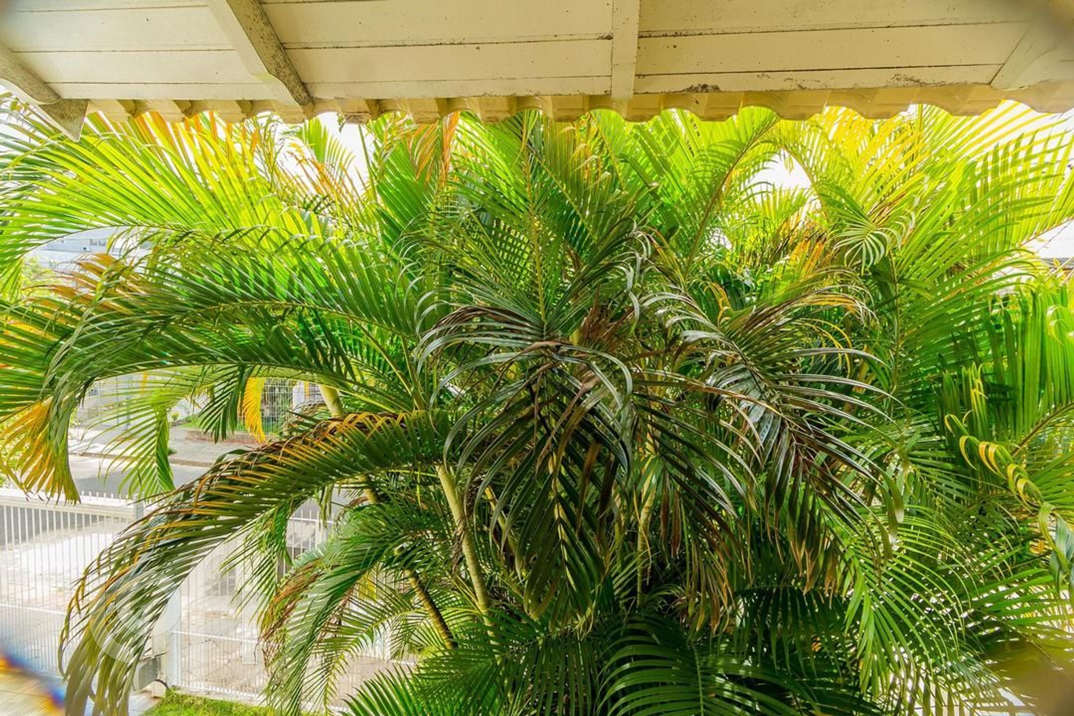 Imagem da propriedade 28