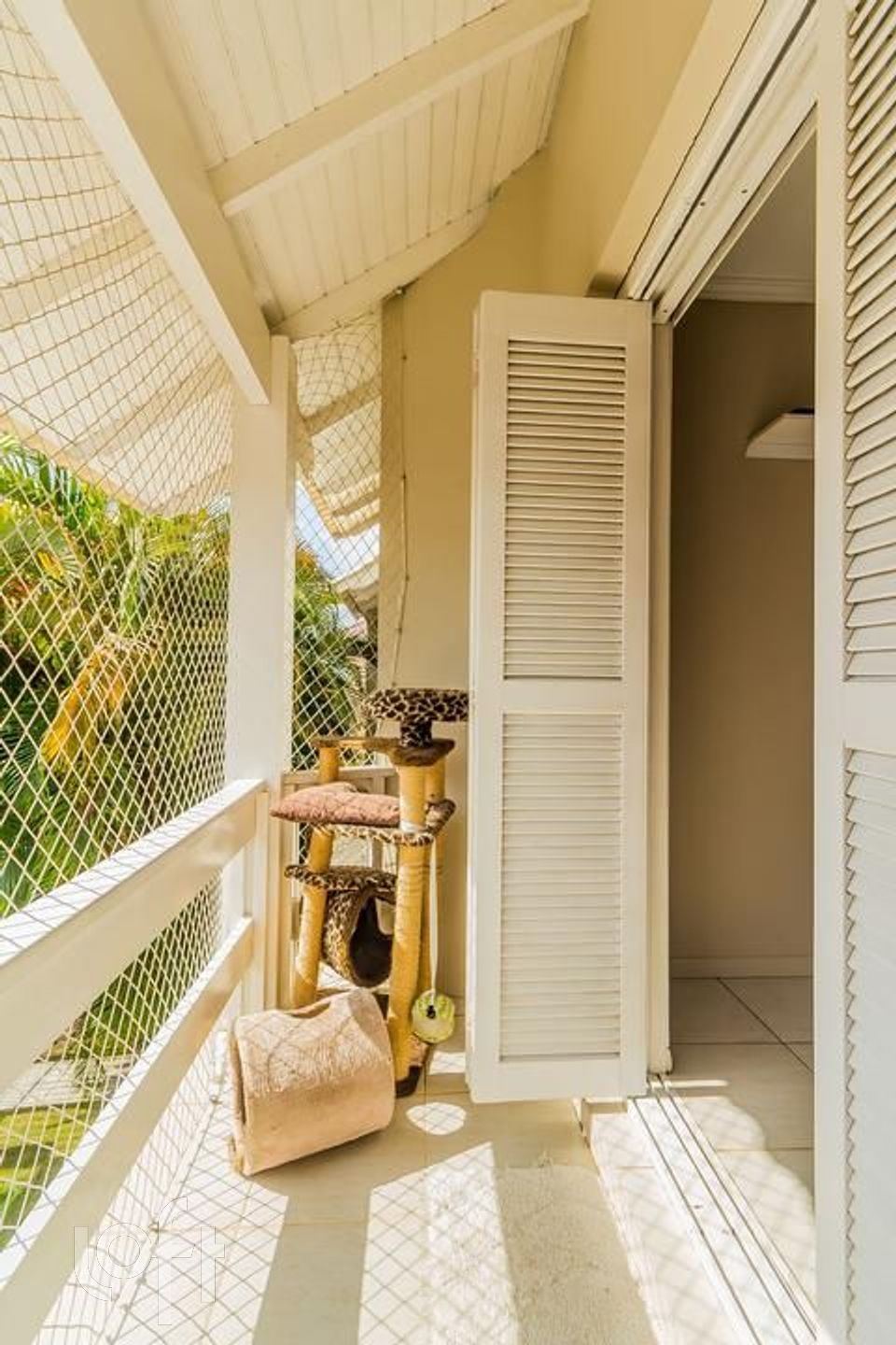 Imagem da propriedade 35