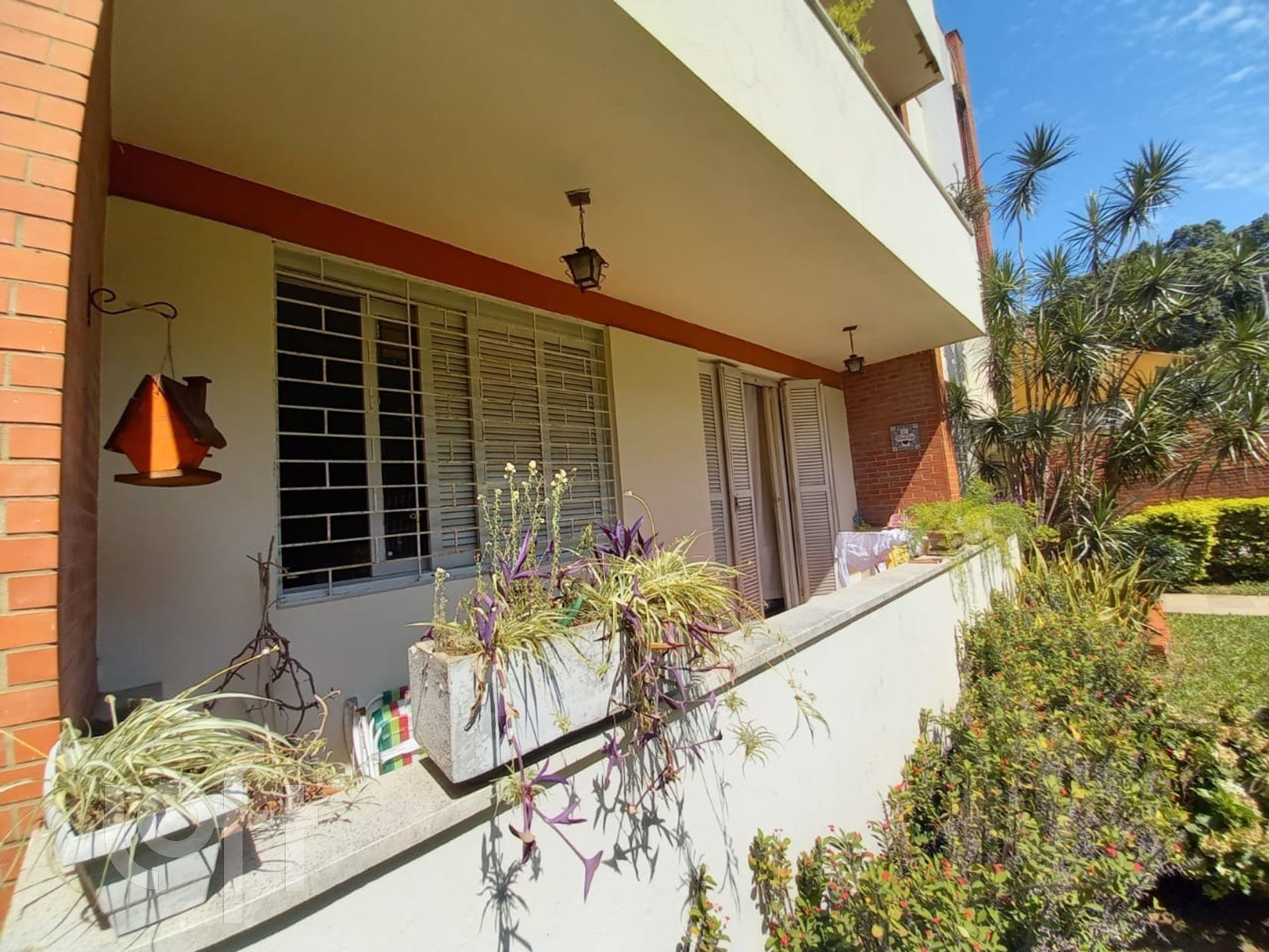 Imagem da propriedade 21