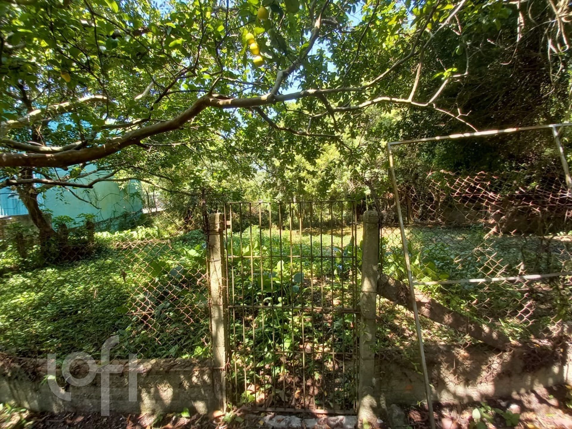 Imagem da propriedade 24