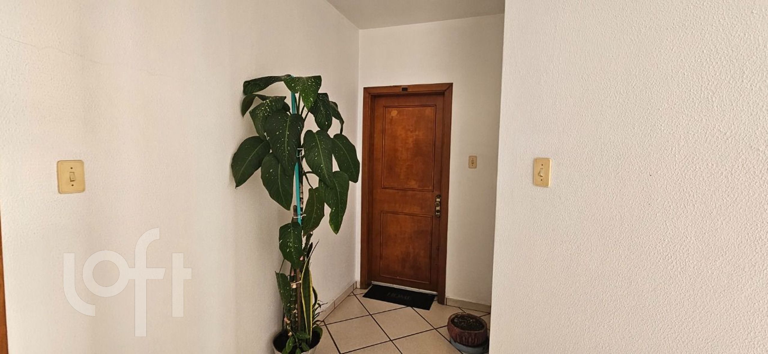 Imagem da propriedade 19