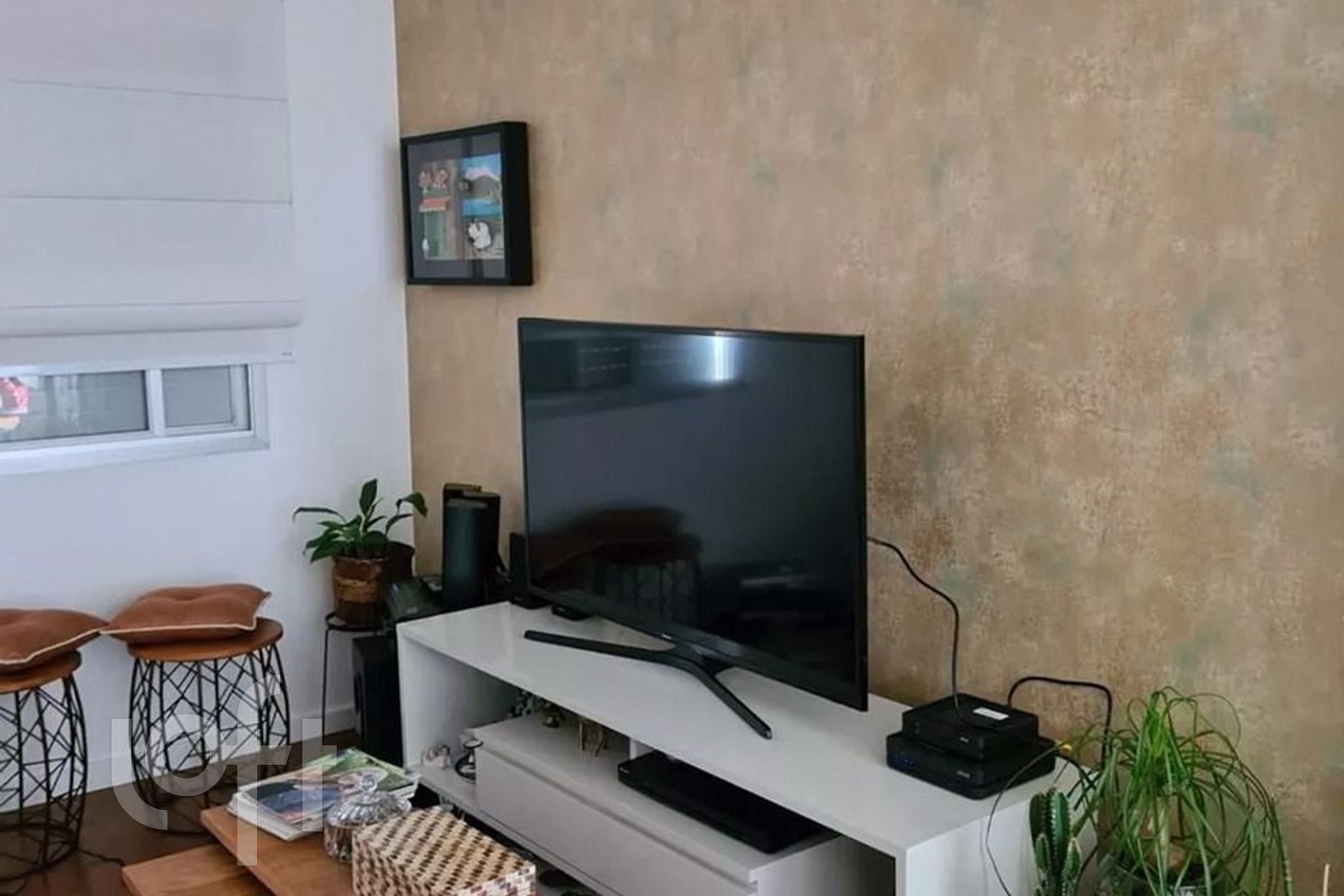 Imagem da propriedade 2