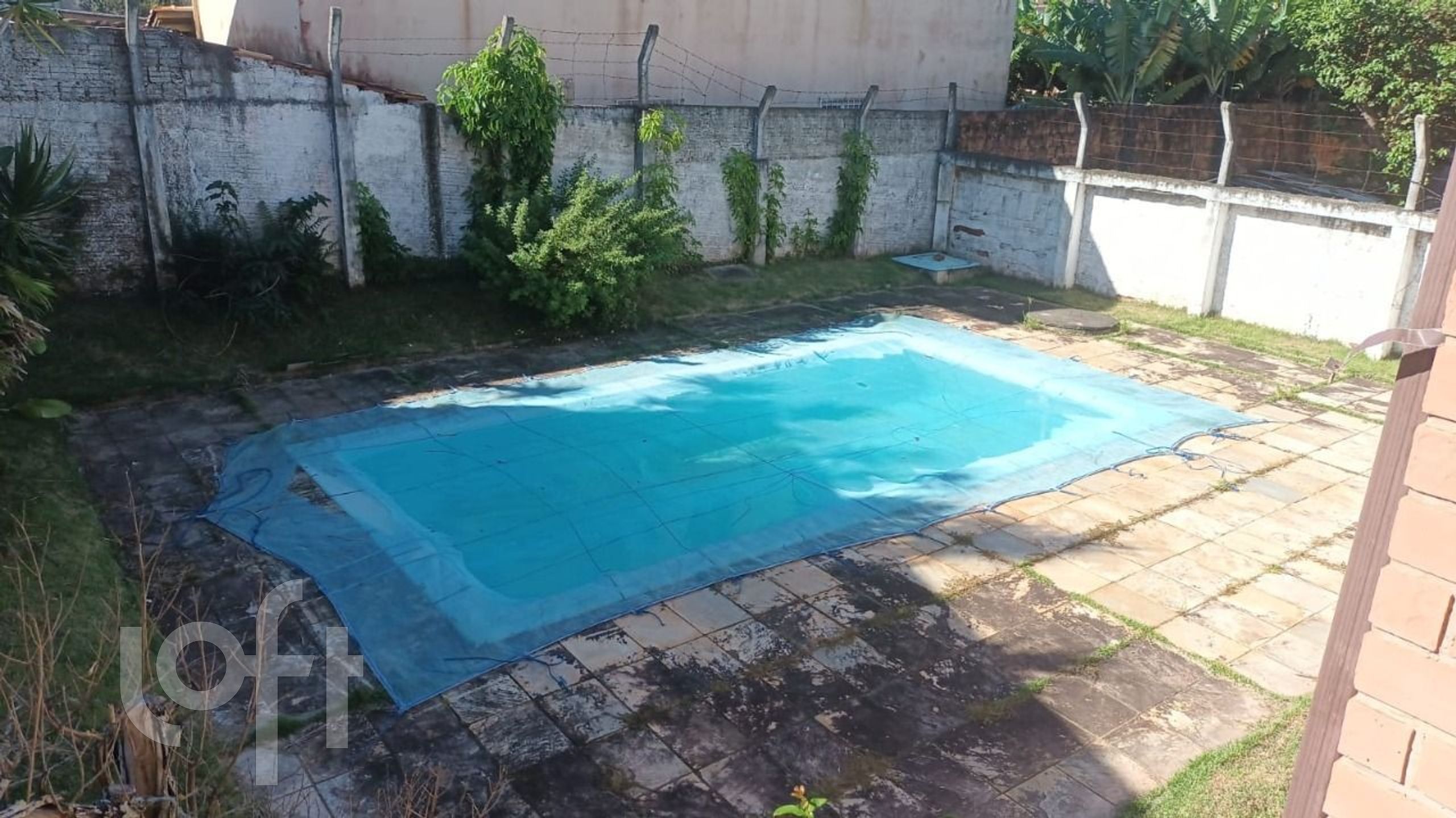 Imagem da propriedade 13