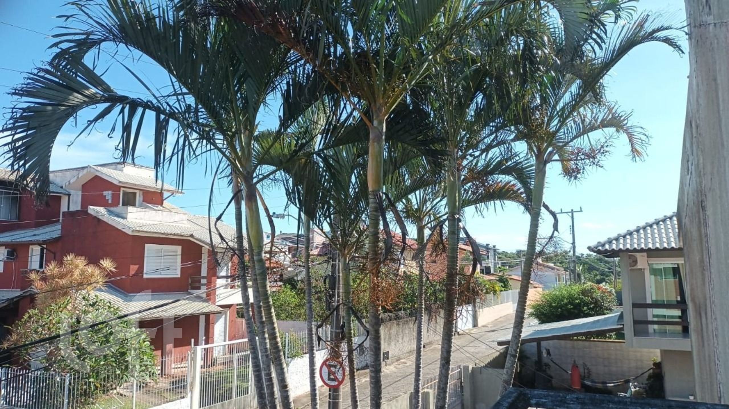 Imagem da propriedade 21
