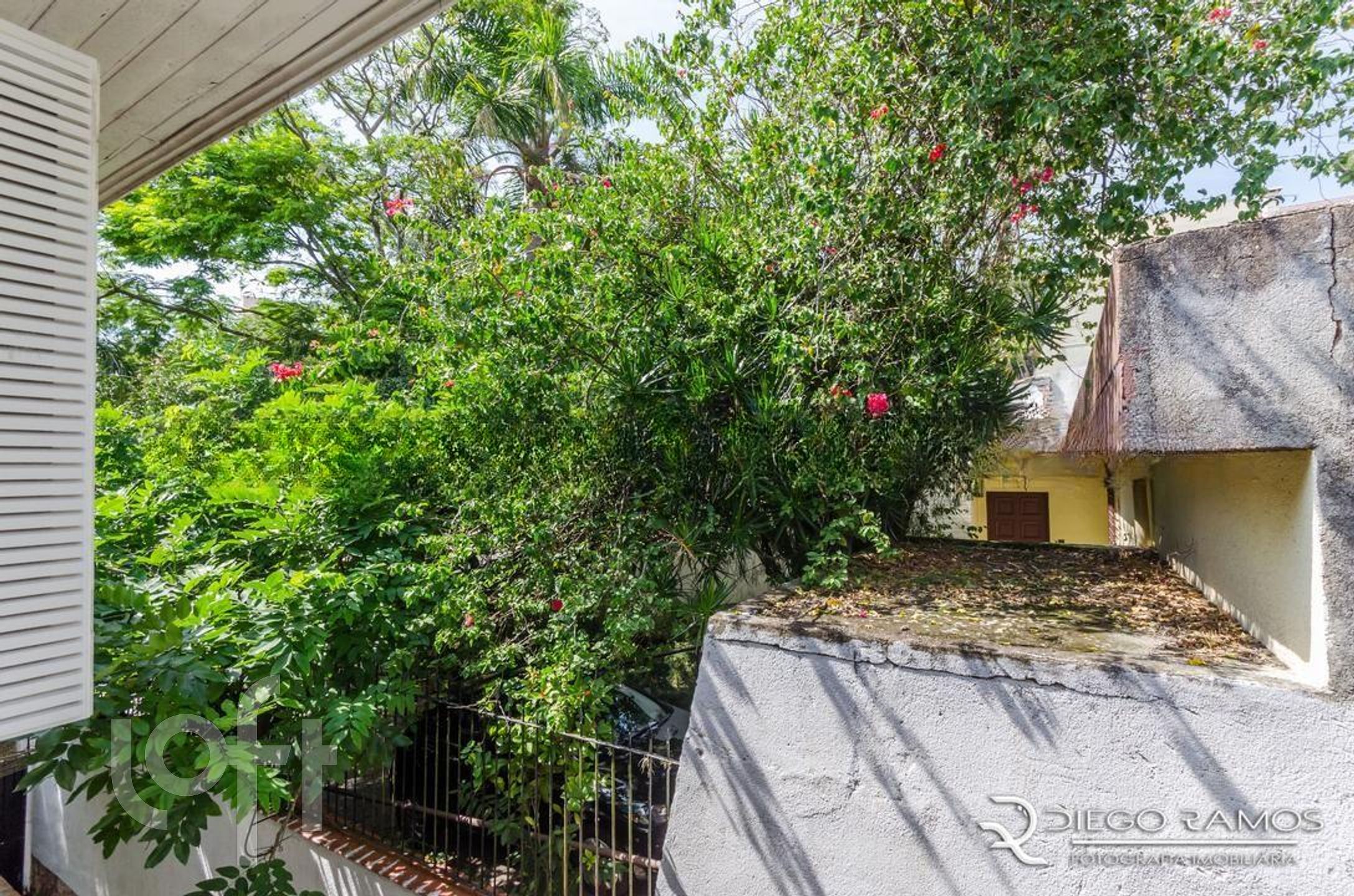 Imagem da propriedade 41