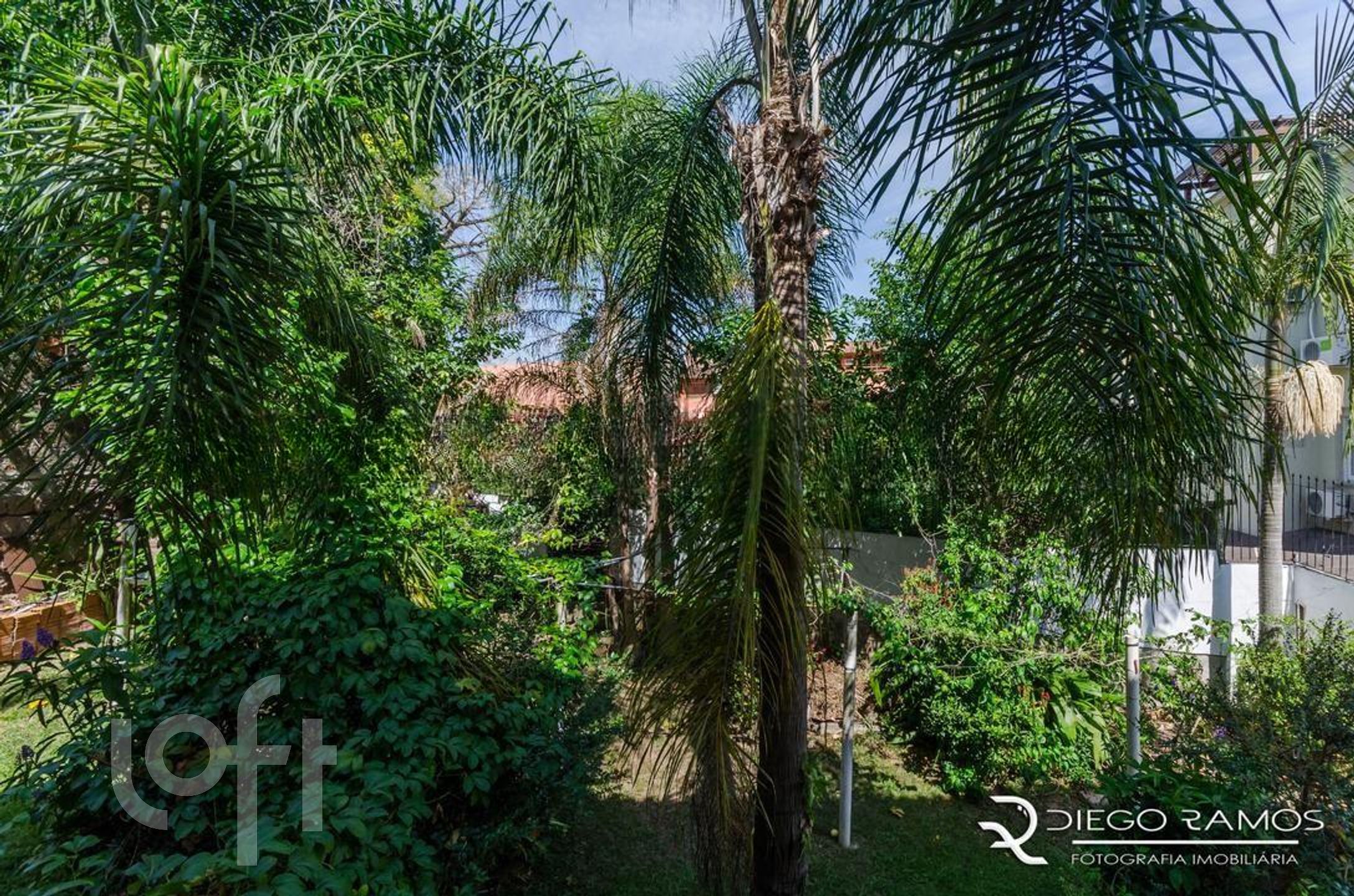 Imagem da propriedade 23